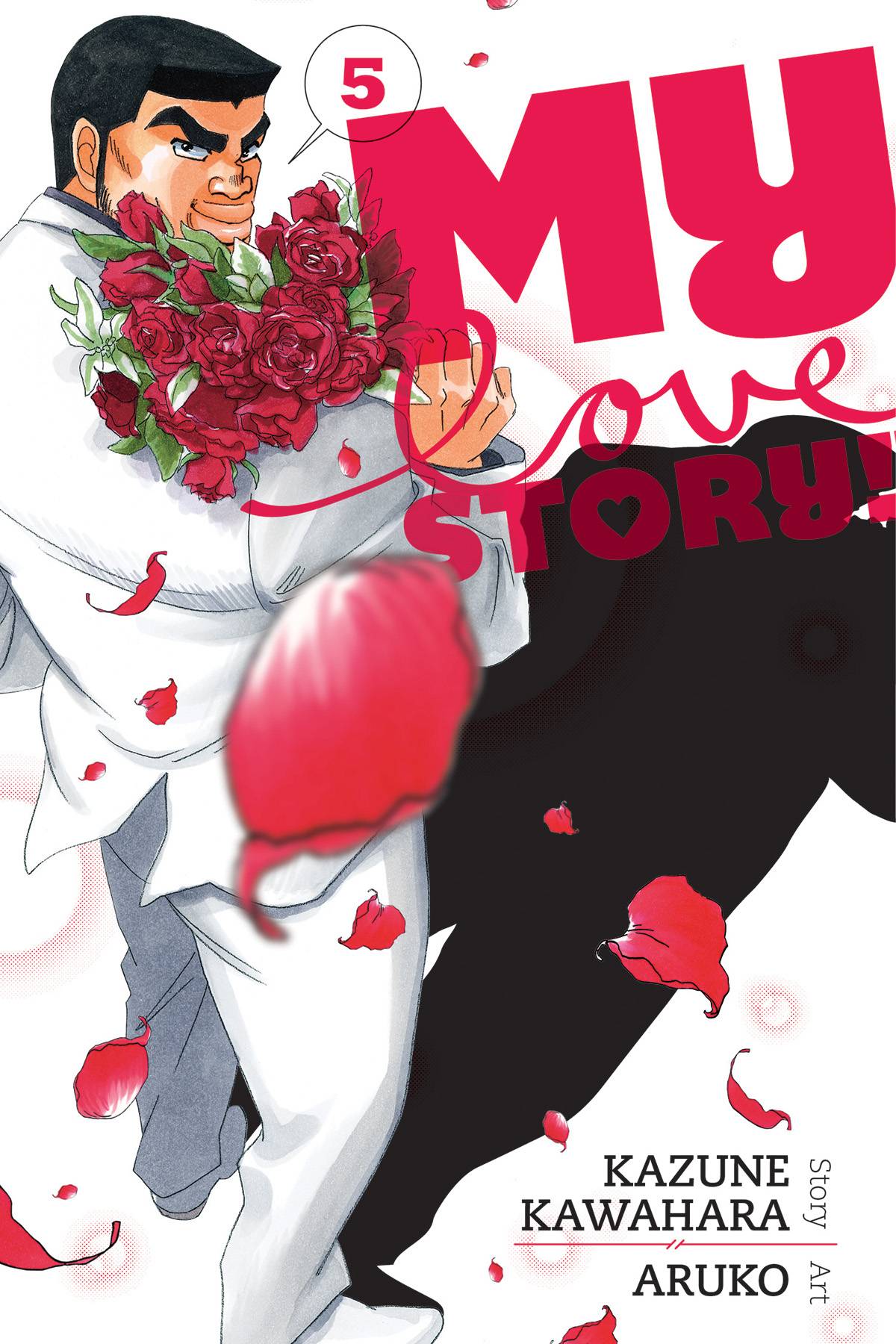 My Love Story Manga Volume 5