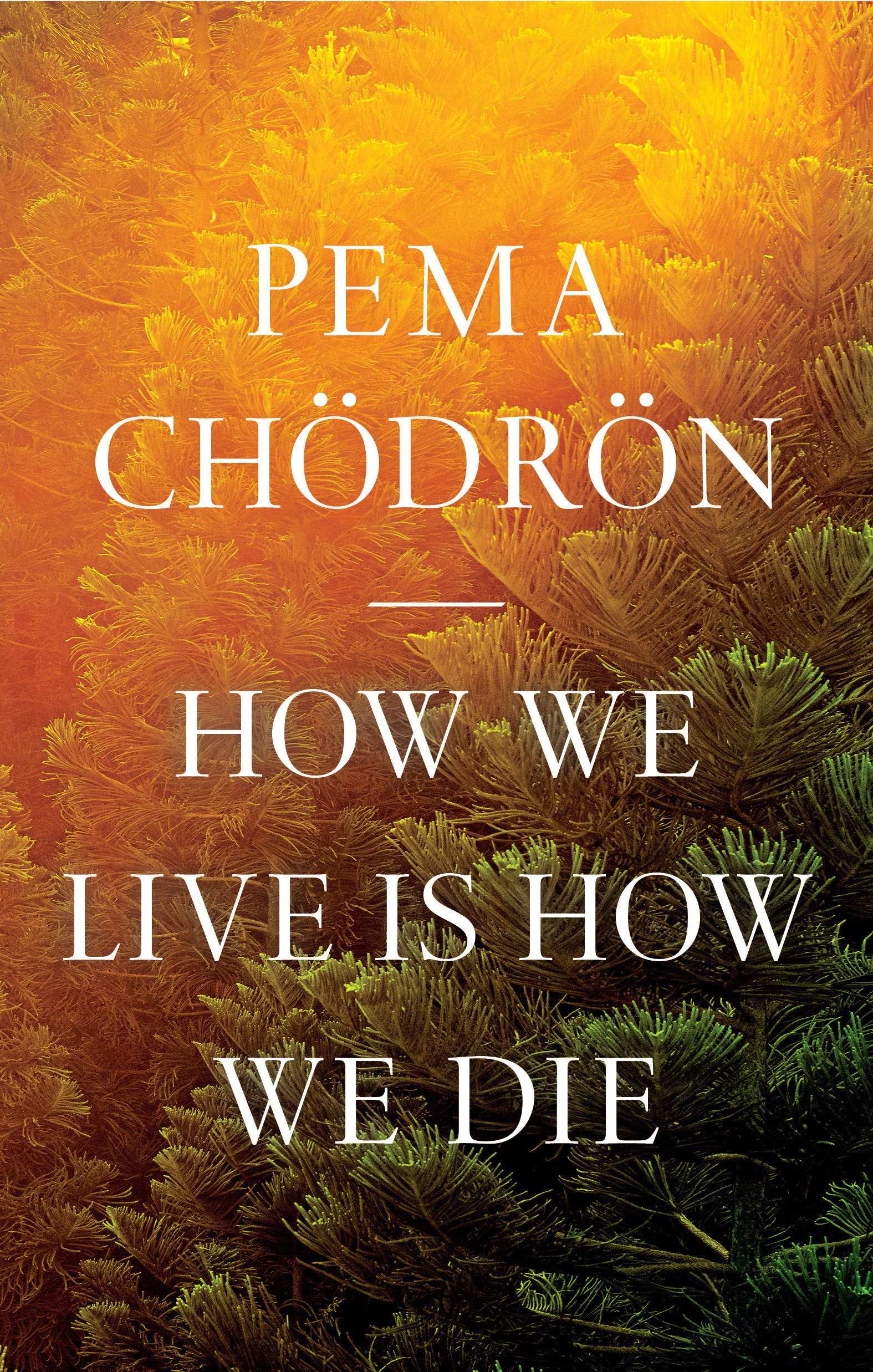 How We Live Is How We Die (Hardcover Book)