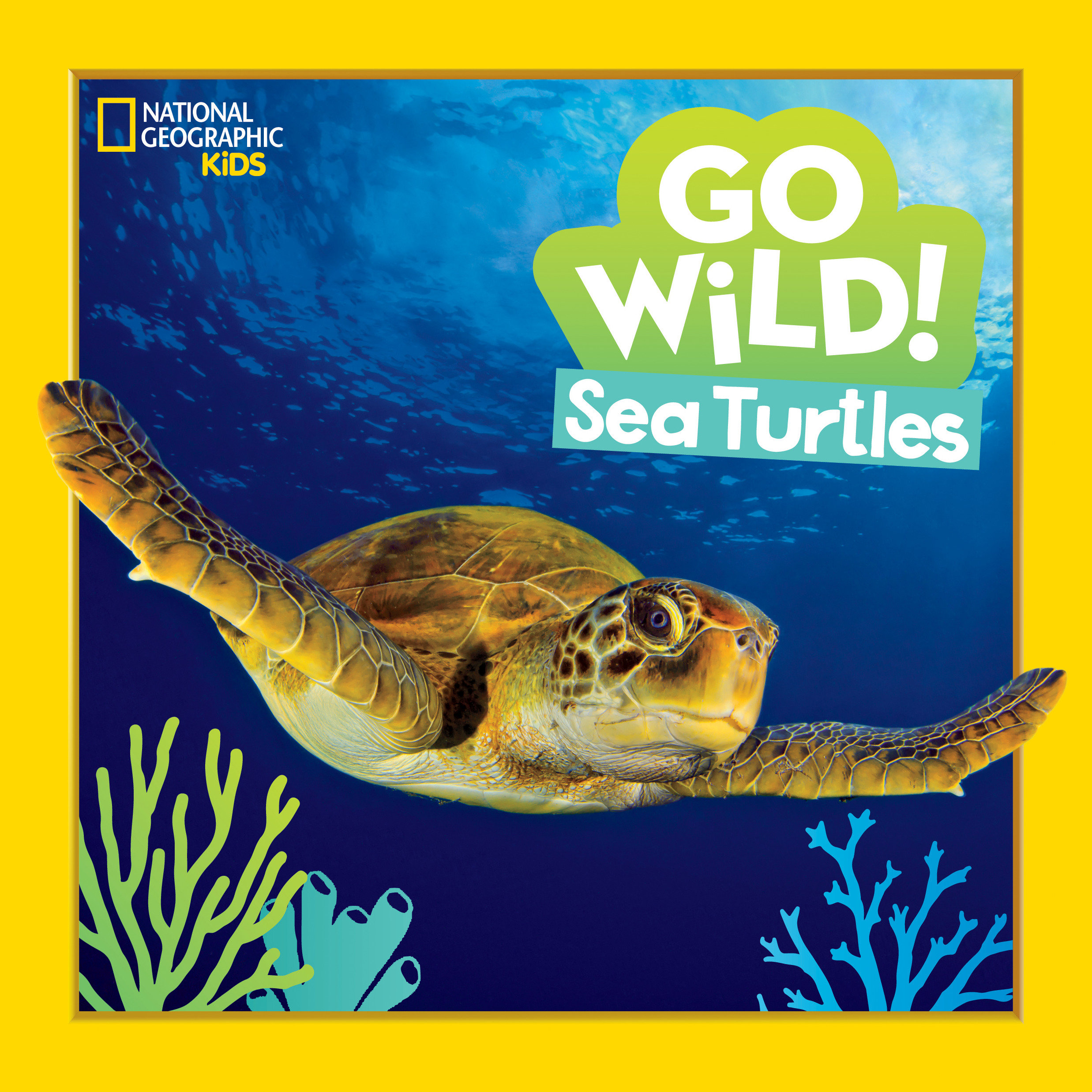 Go Wild! Sea Turtles (Hardcover Book)
