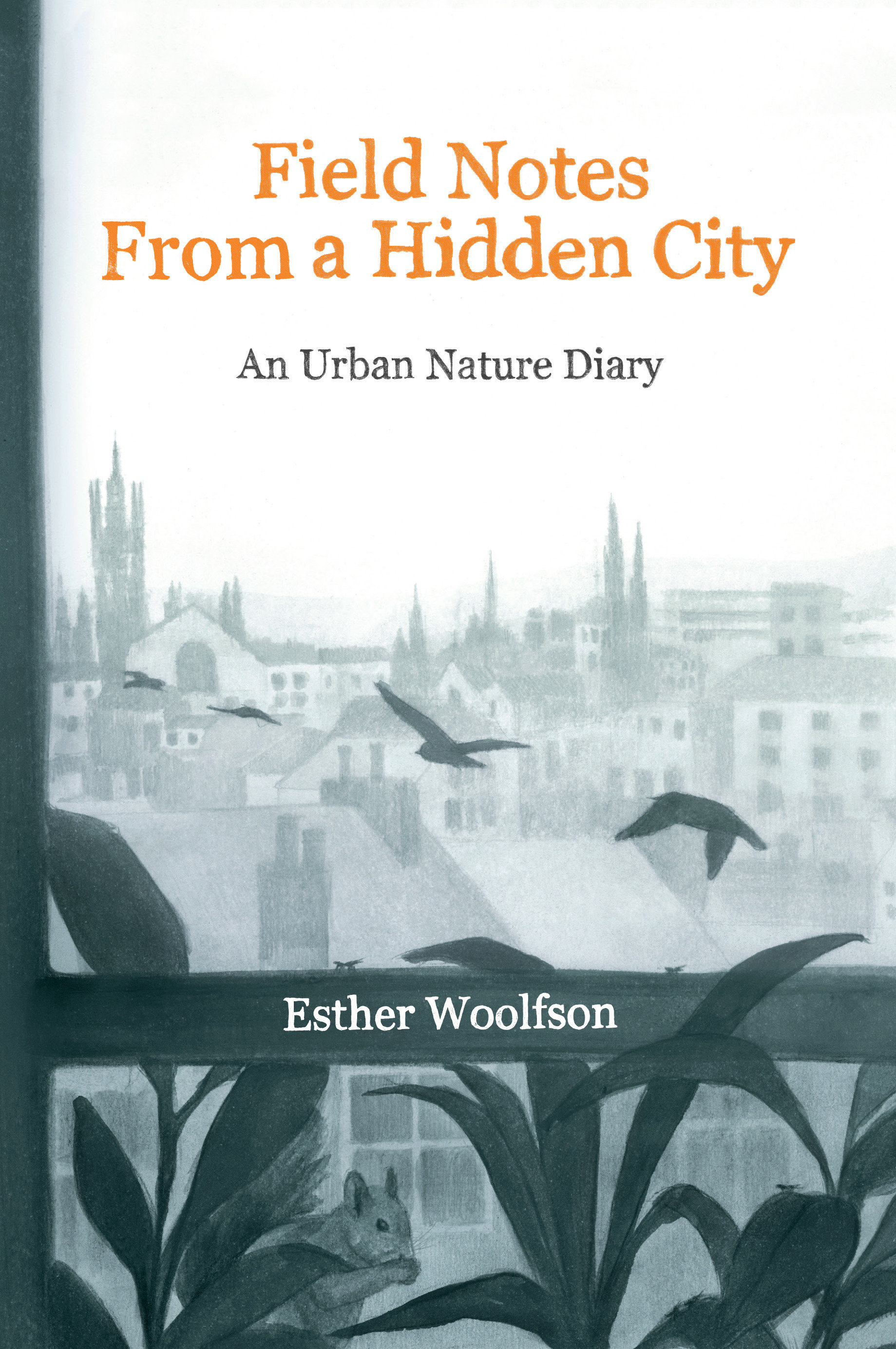 Field Notes From A Hidden City (Hardcover Book)
