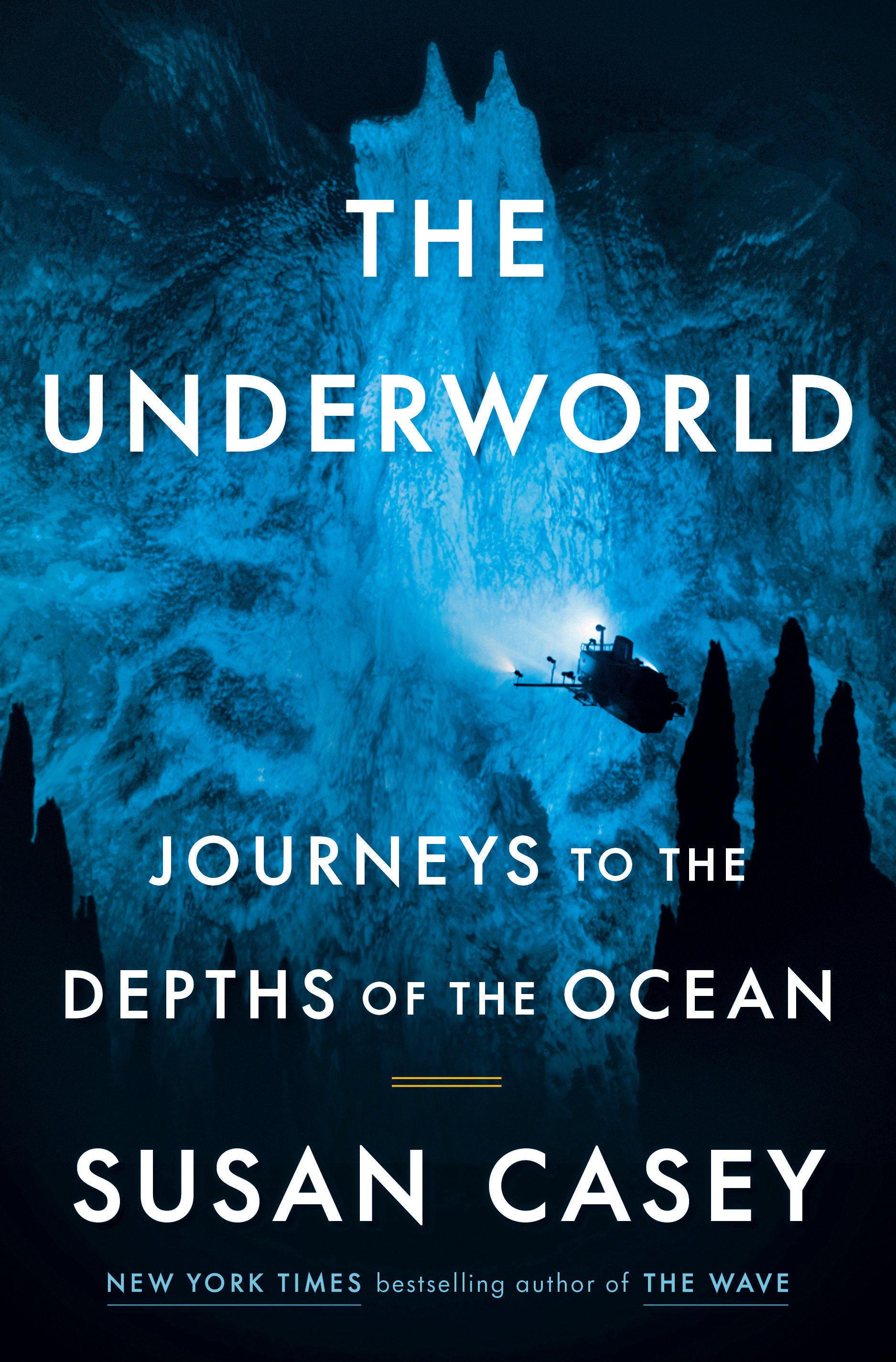 The Underworld (Hardcover Book)