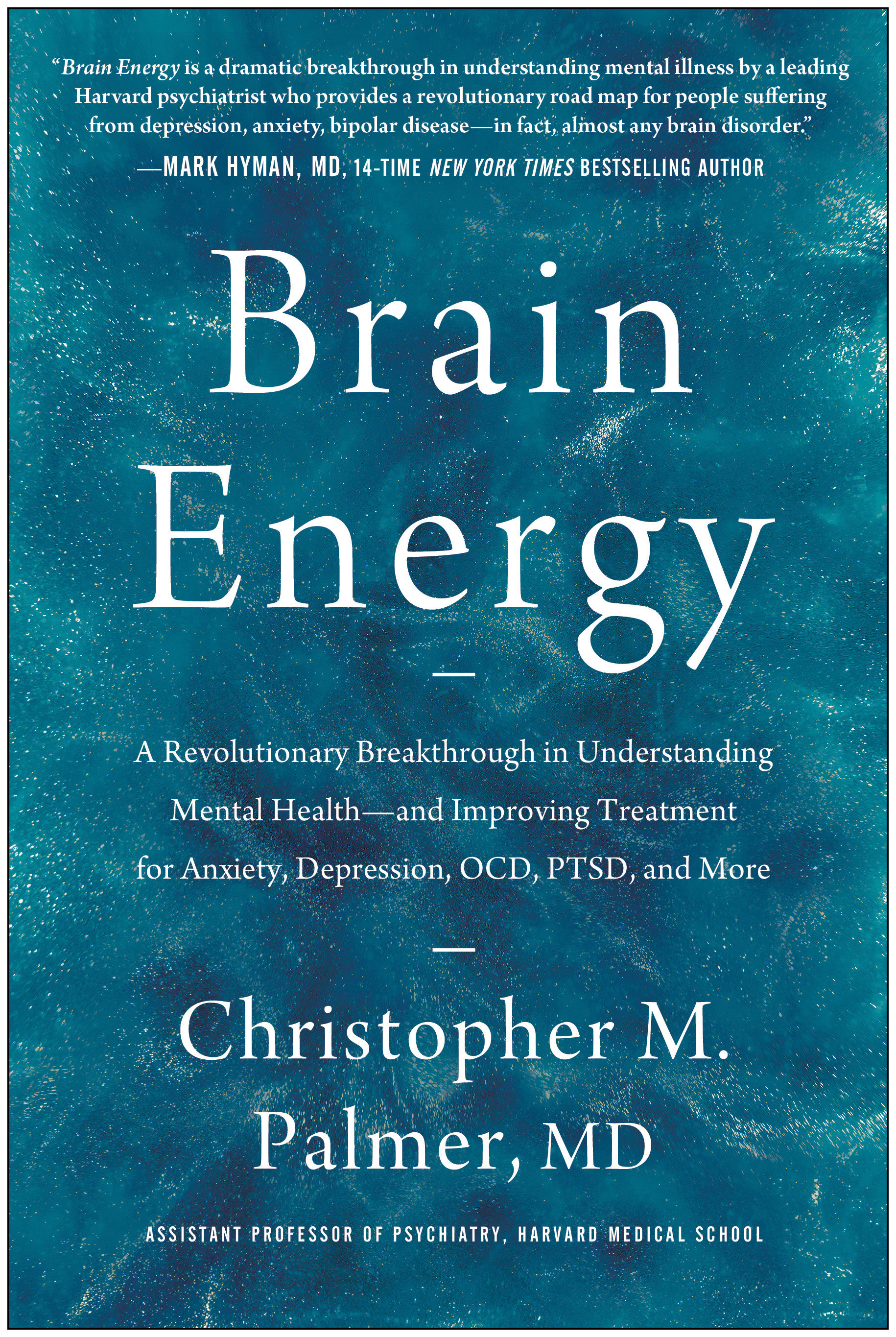 Brain Energy (Hardcover Book)
