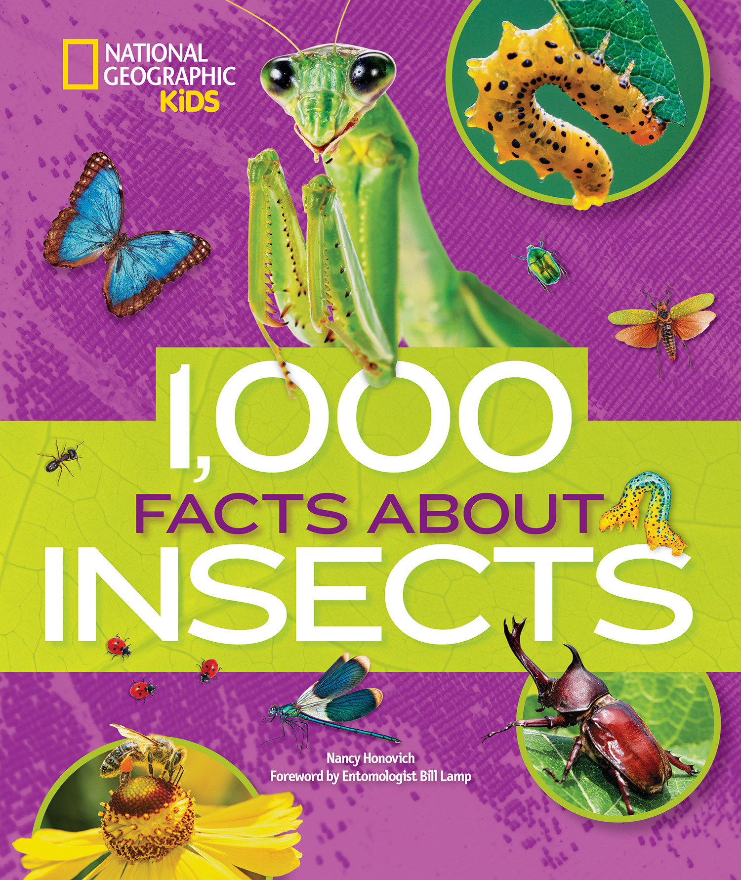 1,000 Facts About Insects (Hardcover Book)