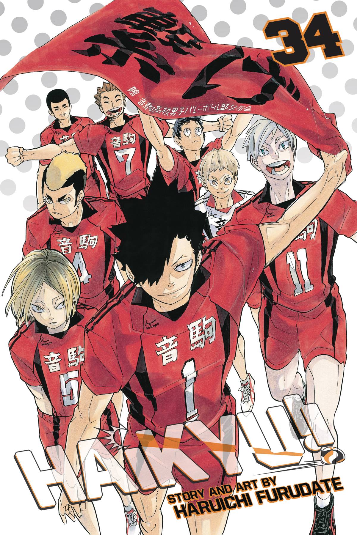 Haikyu Manga Volume 34