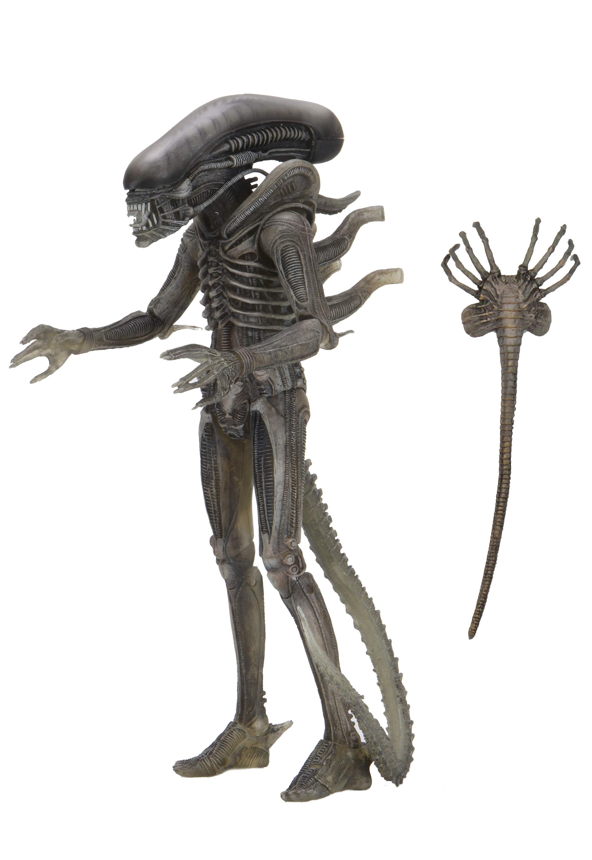 Alien 40th Anniversary 7 Inch Series 4 Giger Alien Action Figure
