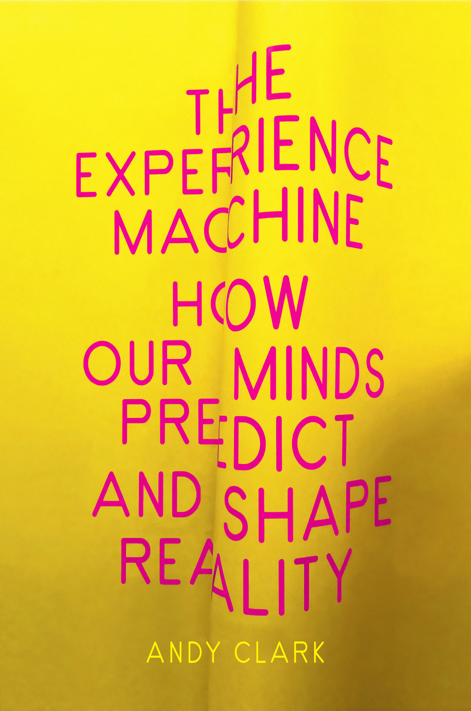 The Experience Machine (Hardcover Book)