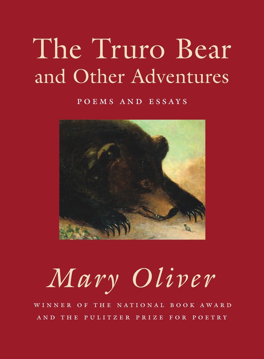 The Truro Bear And Other Adventures (Hardcover Book)