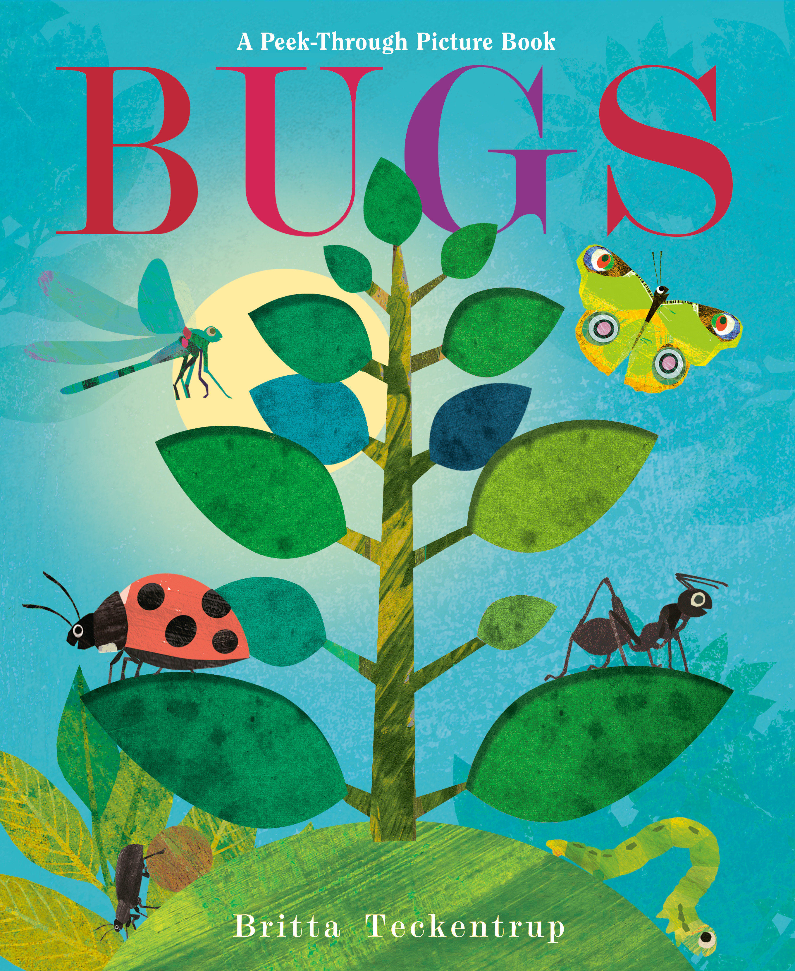 Bugs: A Peek-Through Picture Book (Hardcover Book)