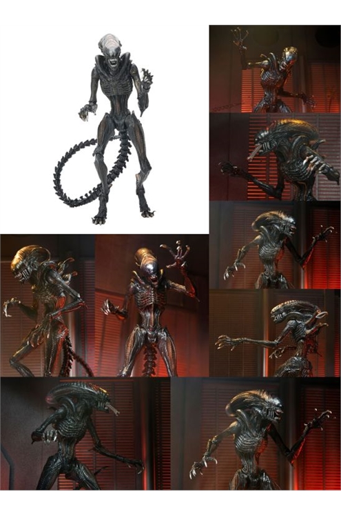 ***Pre-Order***Alien: Romulus Ultimate Scorched Xenomorph