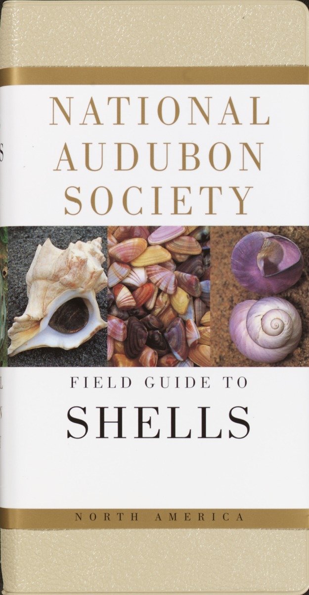 National Audubon Society Field Guide To Shells (Hardcover Book)