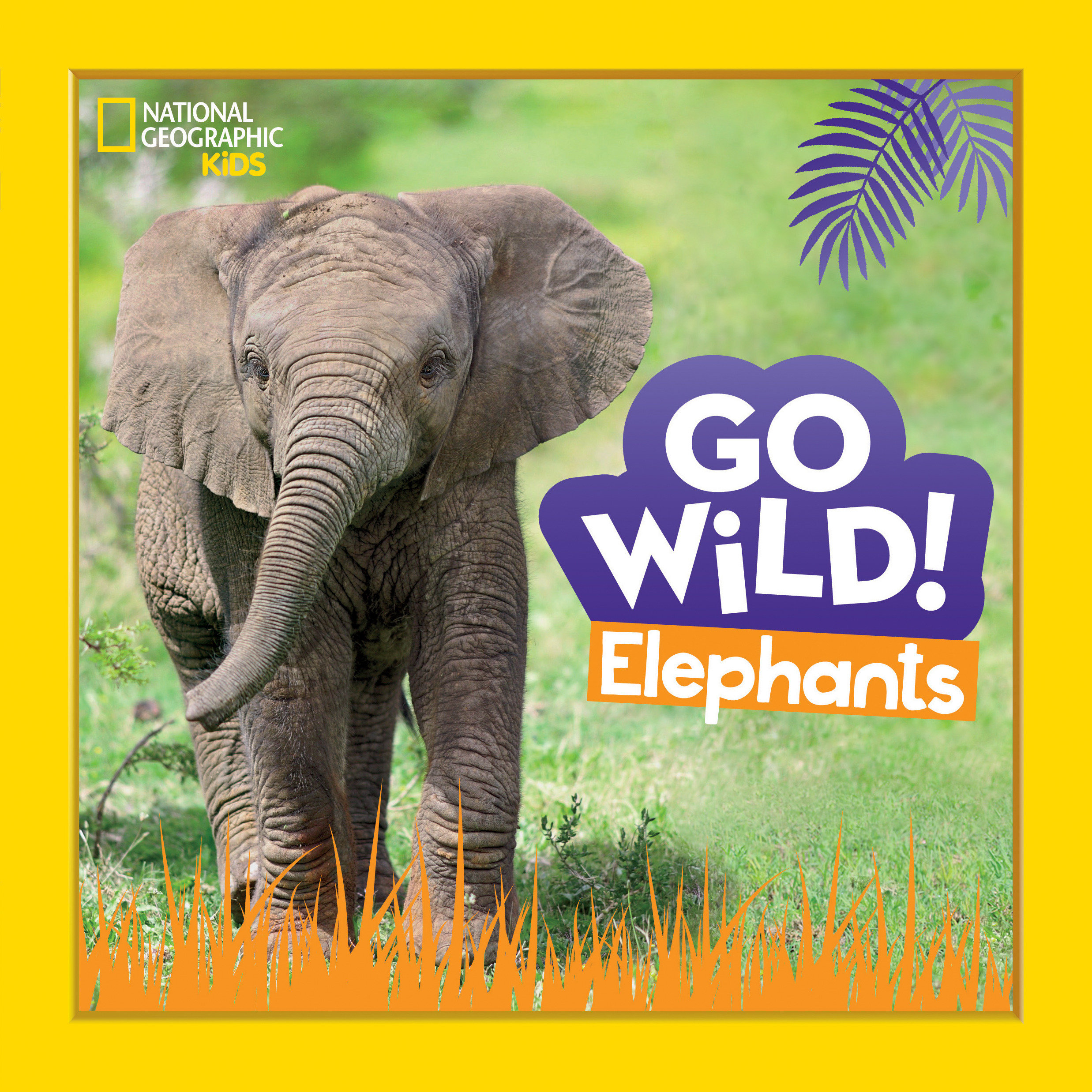 Go Wild! Elephants (Hardcover Book)
