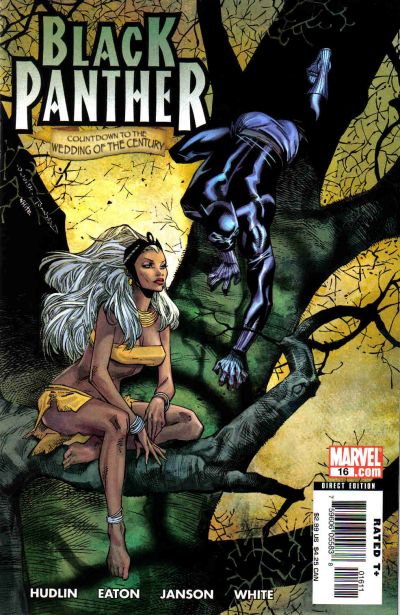 Black Panther #16 [Direct Edition]-Fine (5.5 – 7)