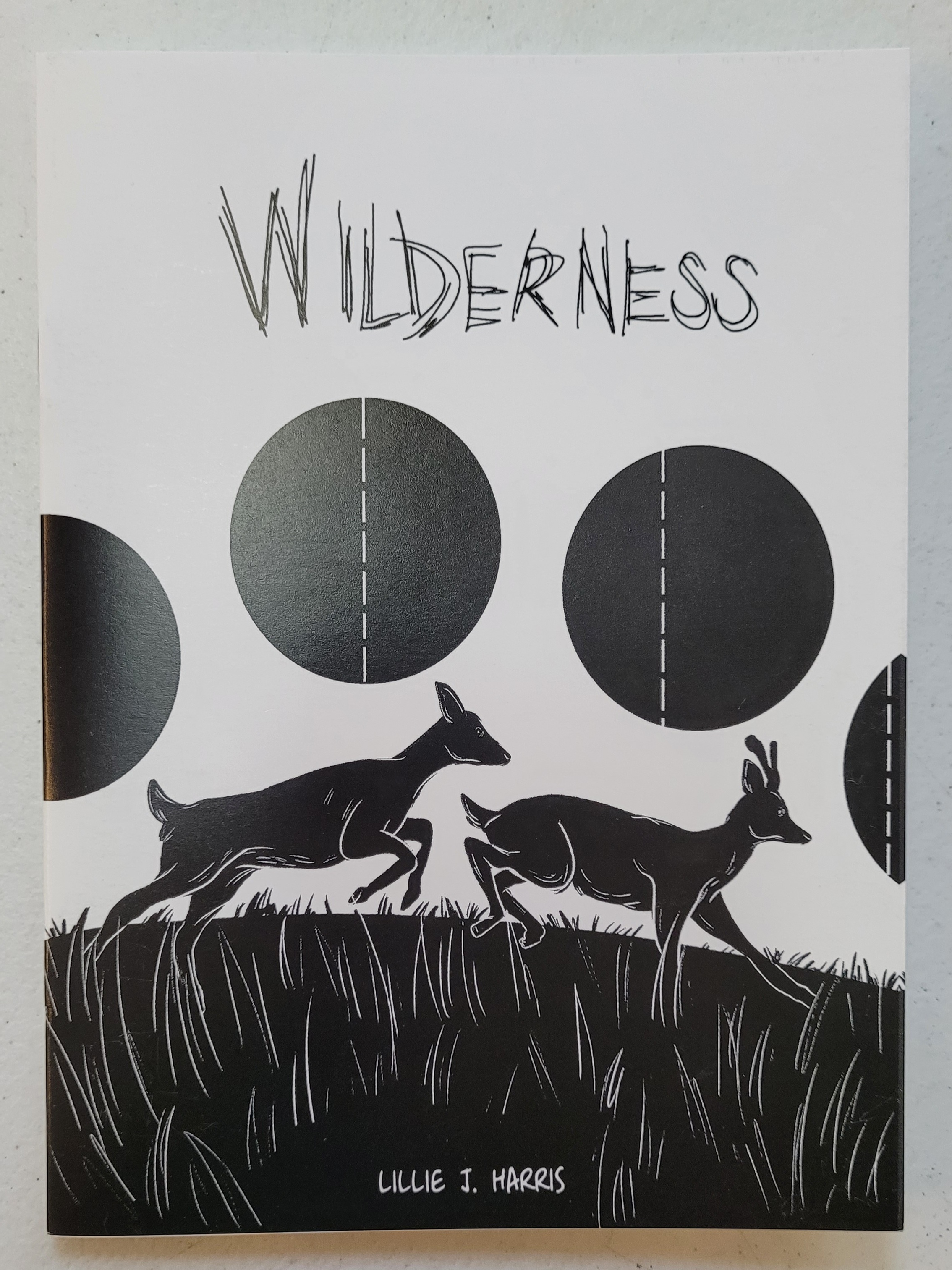 Wilderness Zine By Lillie J Harris