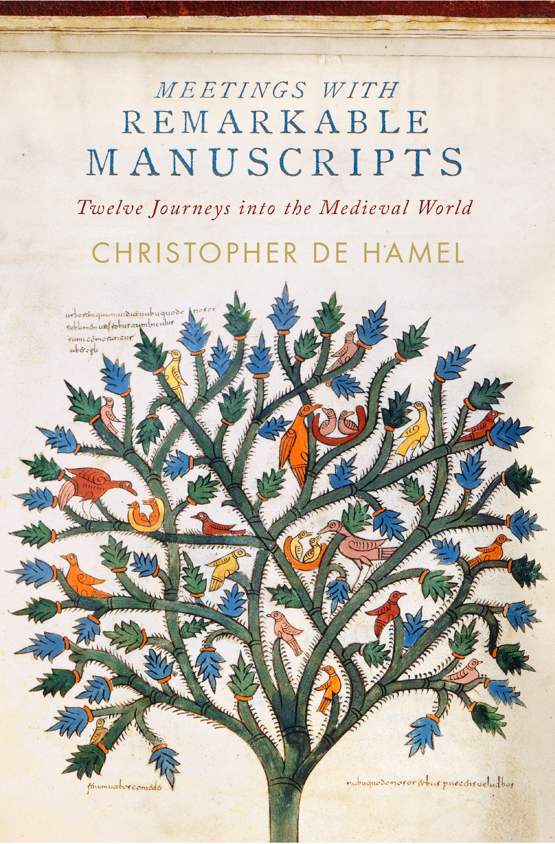 Meetings With Remarkable Manuscripts (Hardcover Book)