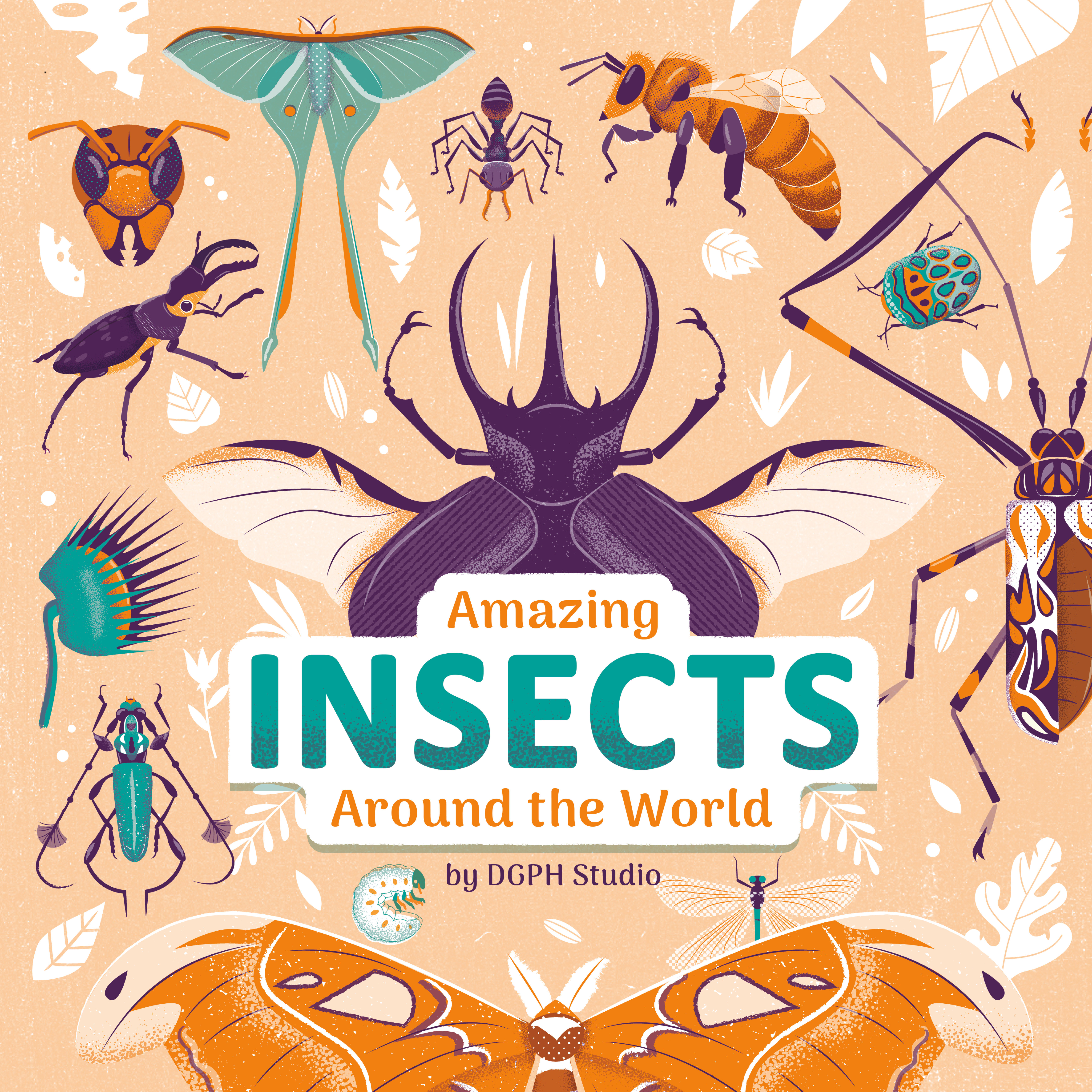 Amazing Insects Around The World (Hardcover Book)