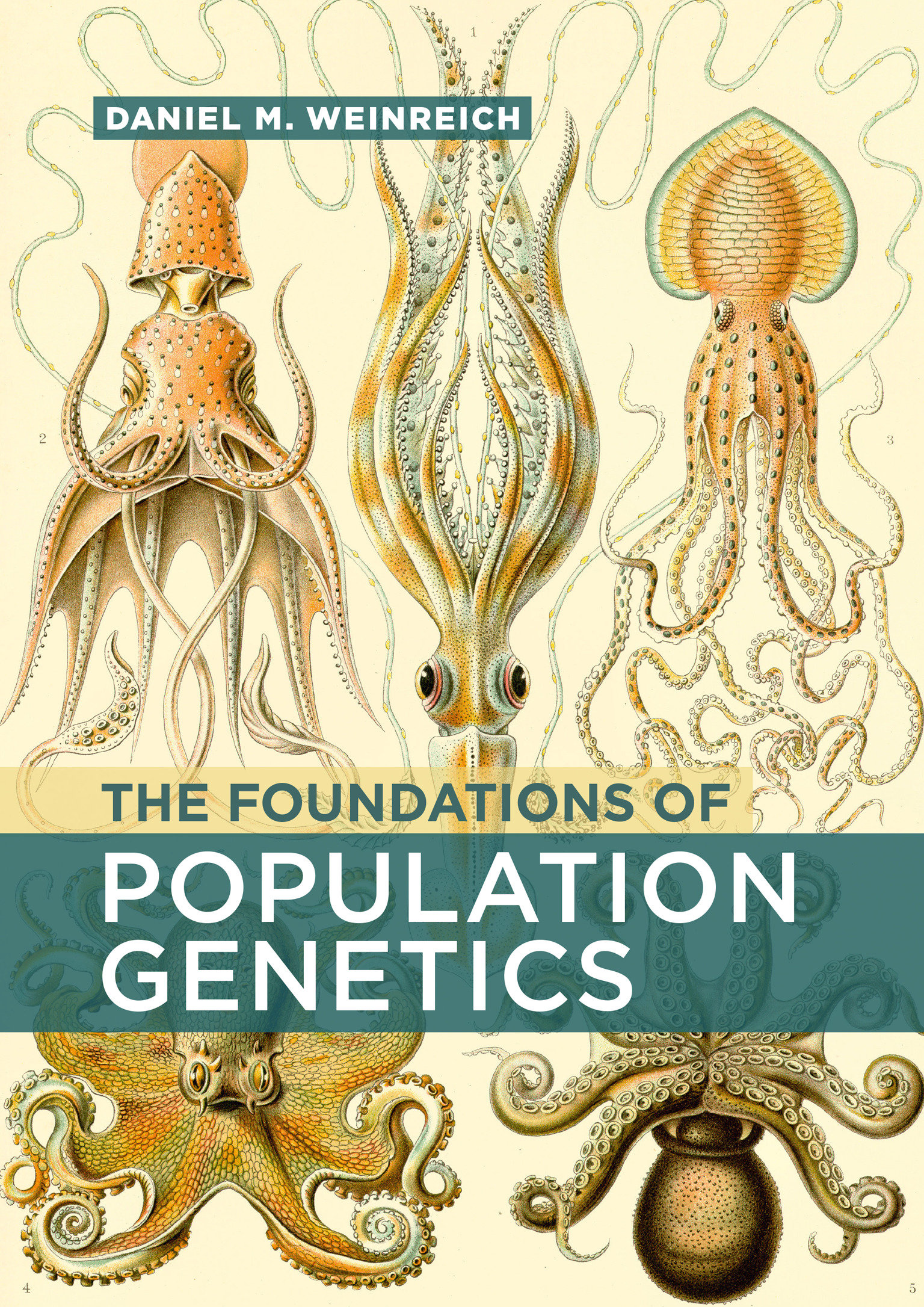 The Foundations Of Population Genetics (Hardcover Book)