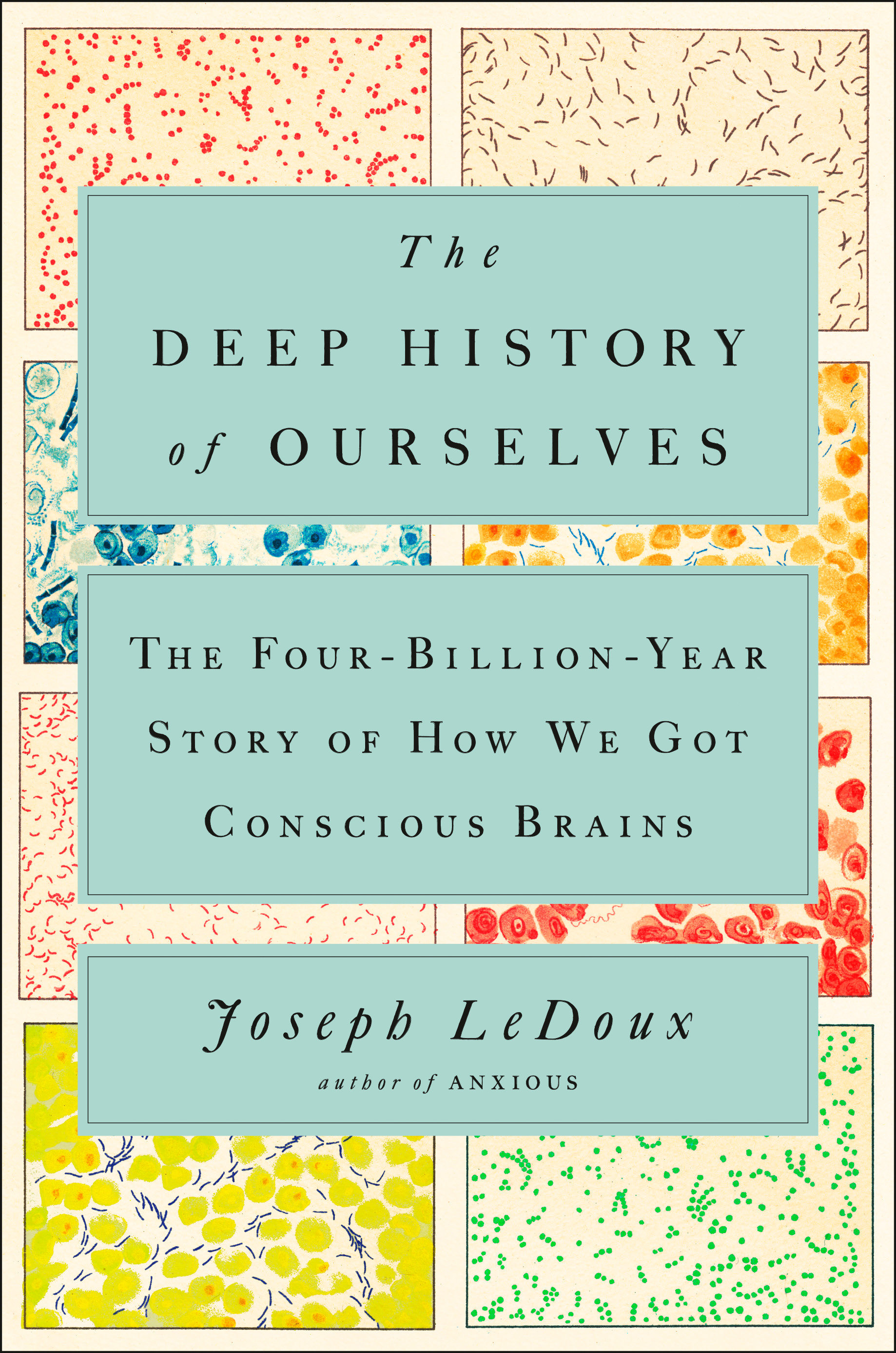 The Deep History Of Ourselves (Hardcover Book)