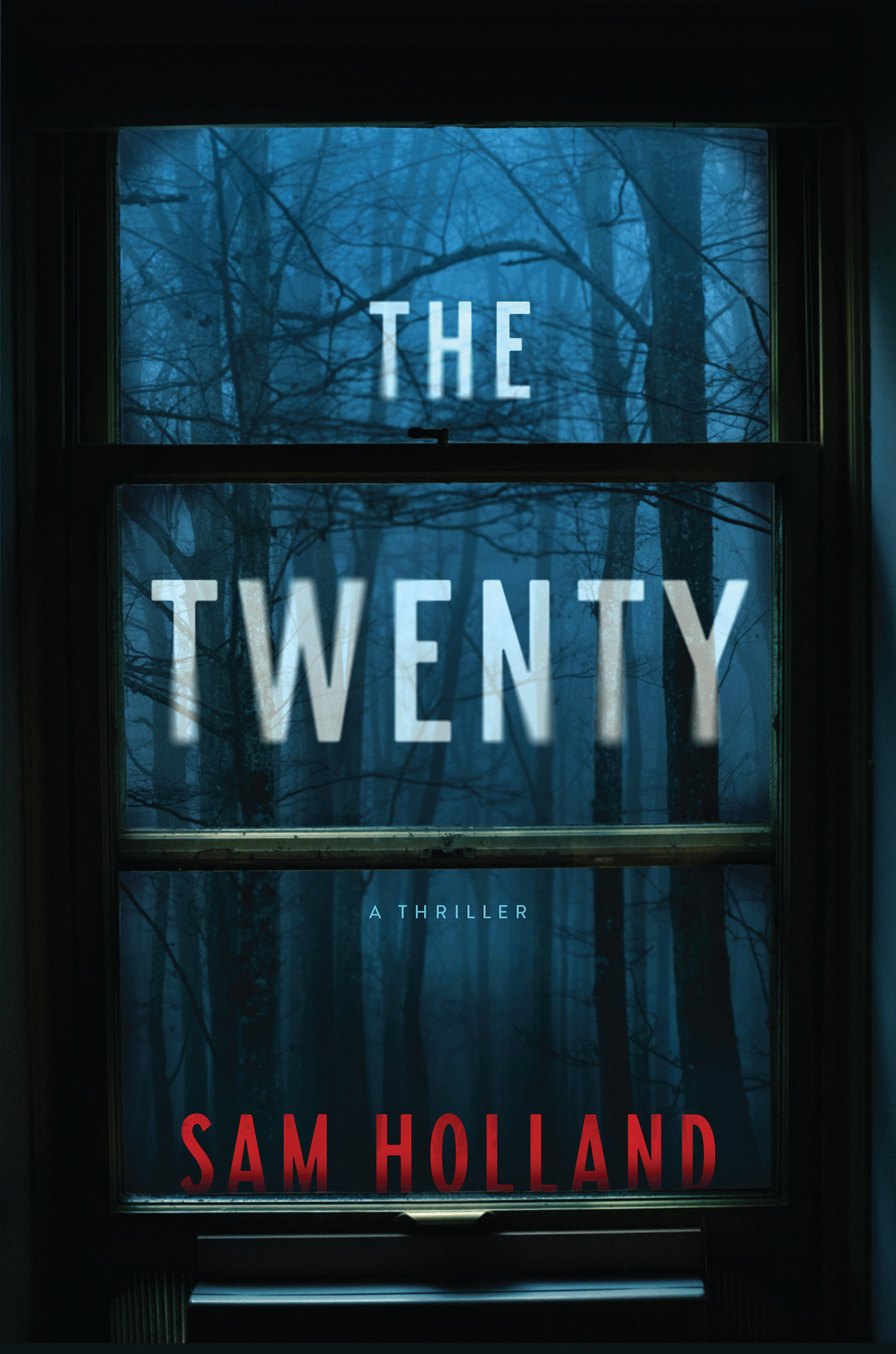 The Twenty (Hardcover Book)