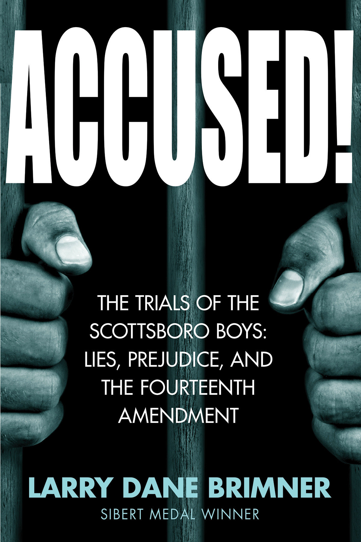 Accused! (Hardcover Book)