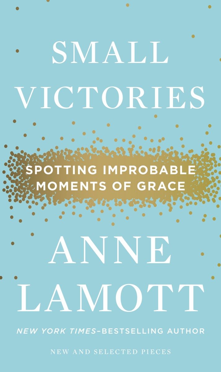 Small Victories (Hardcover Book)