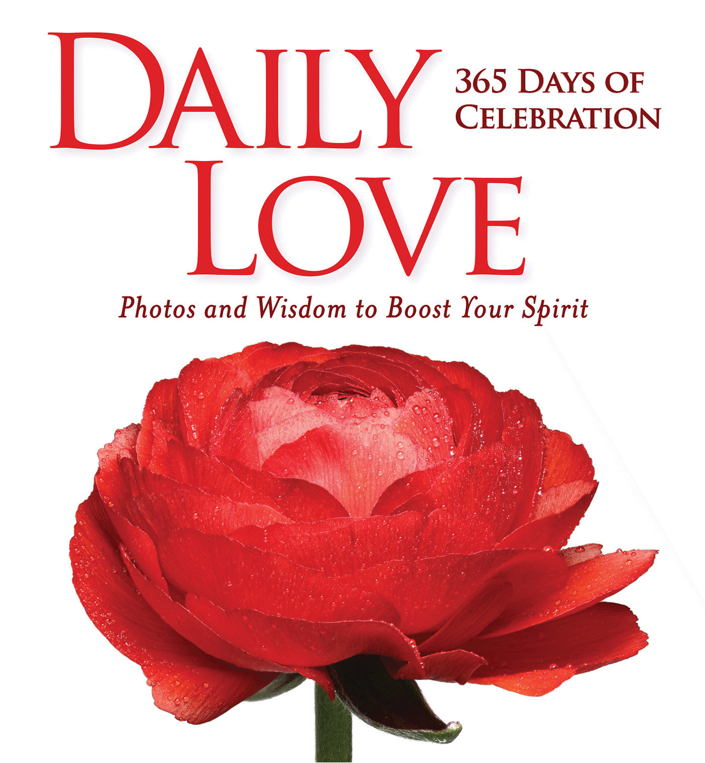 Daily Love (Hardcover Book)
