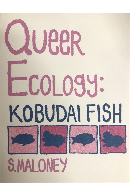 Queer Ecology: Kobudai Fish By Sarah Maloney