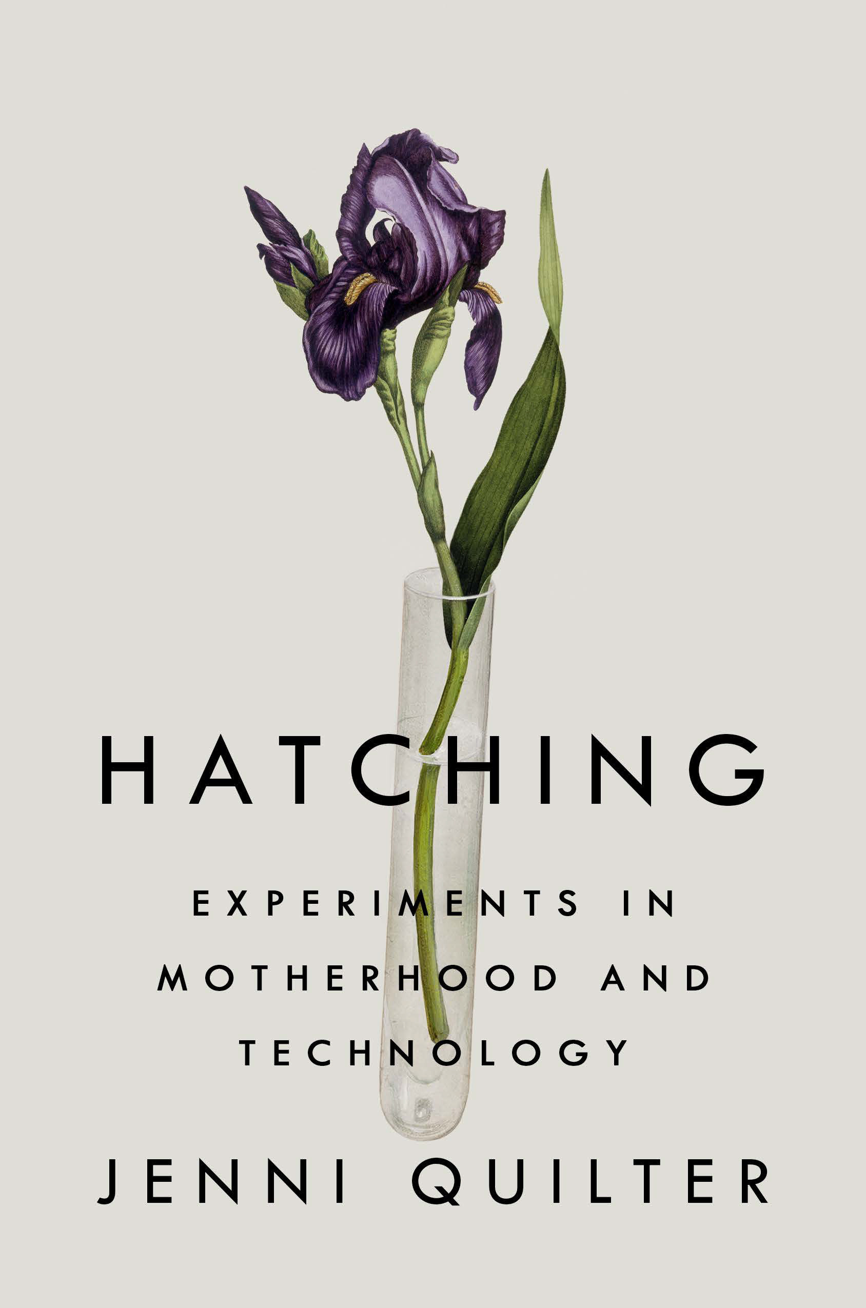 Hatching (Hardcover Book)
