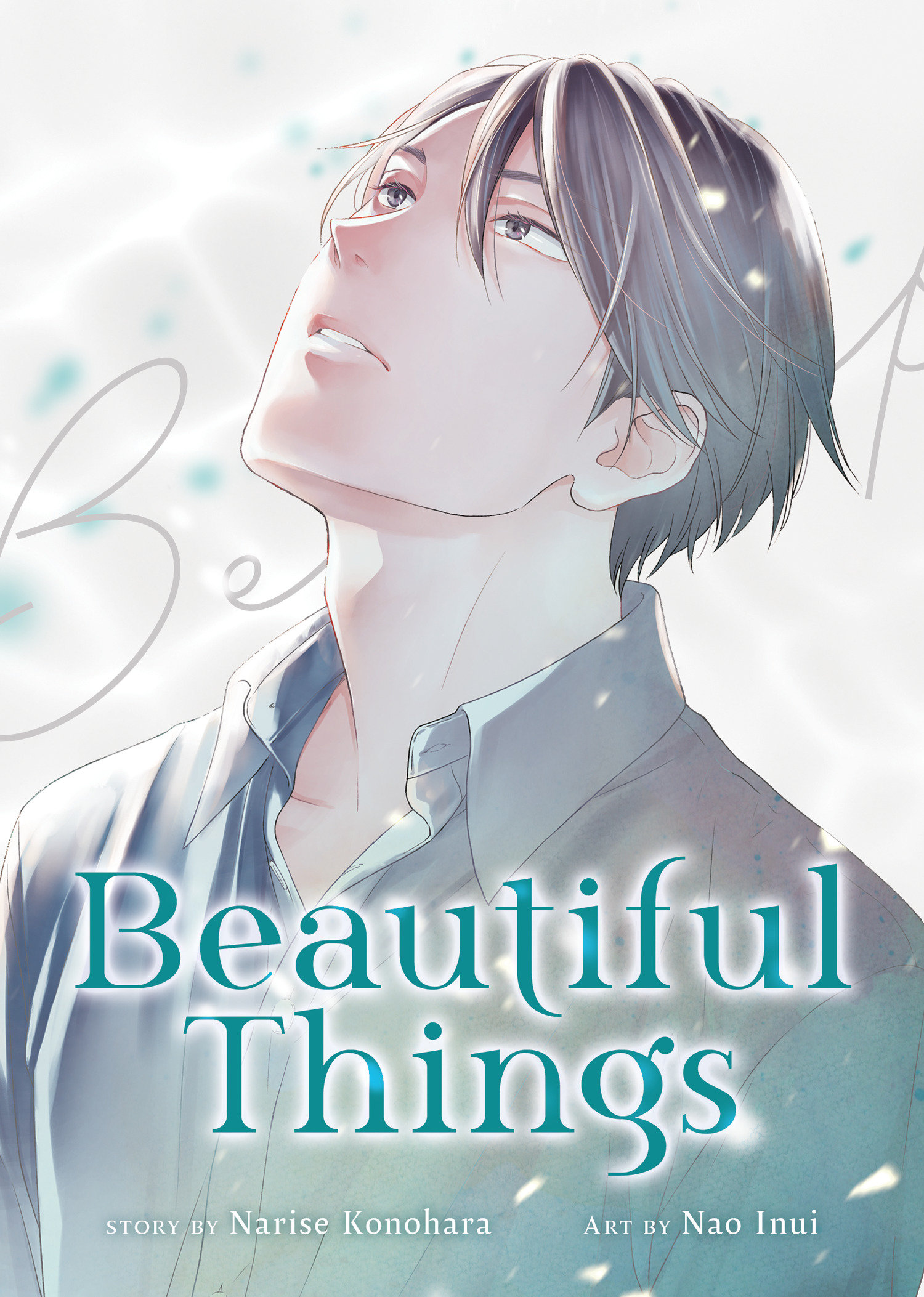 Beautiful Things The Complete Manga Collection