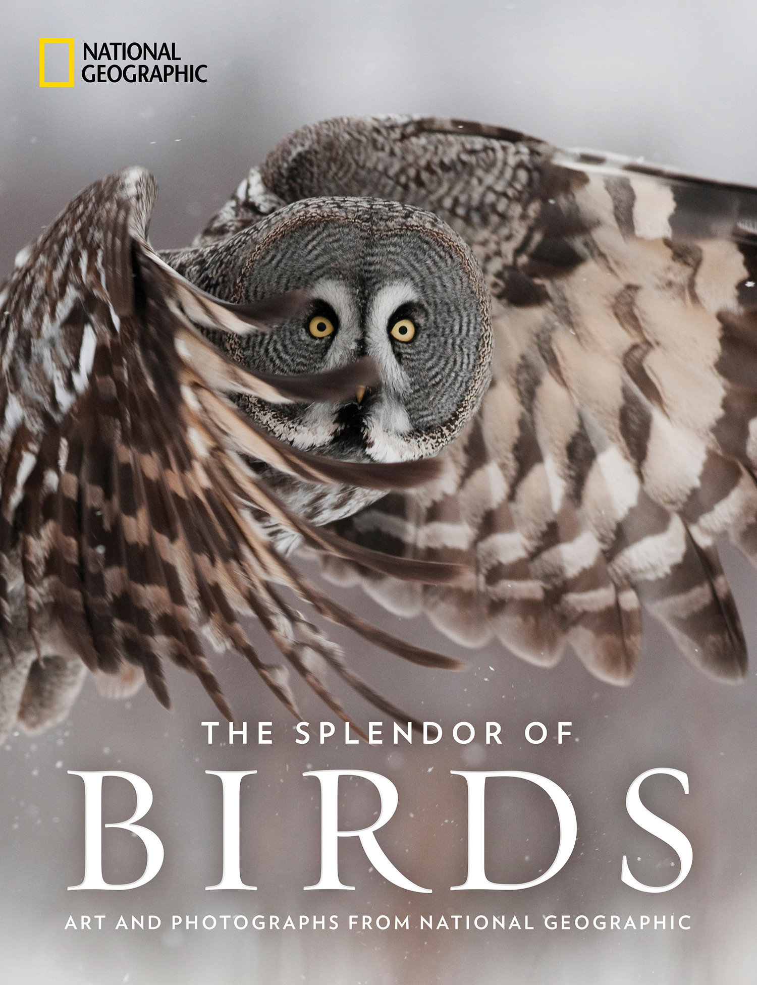 The Splendor Of Birds (Hardcover Book)
