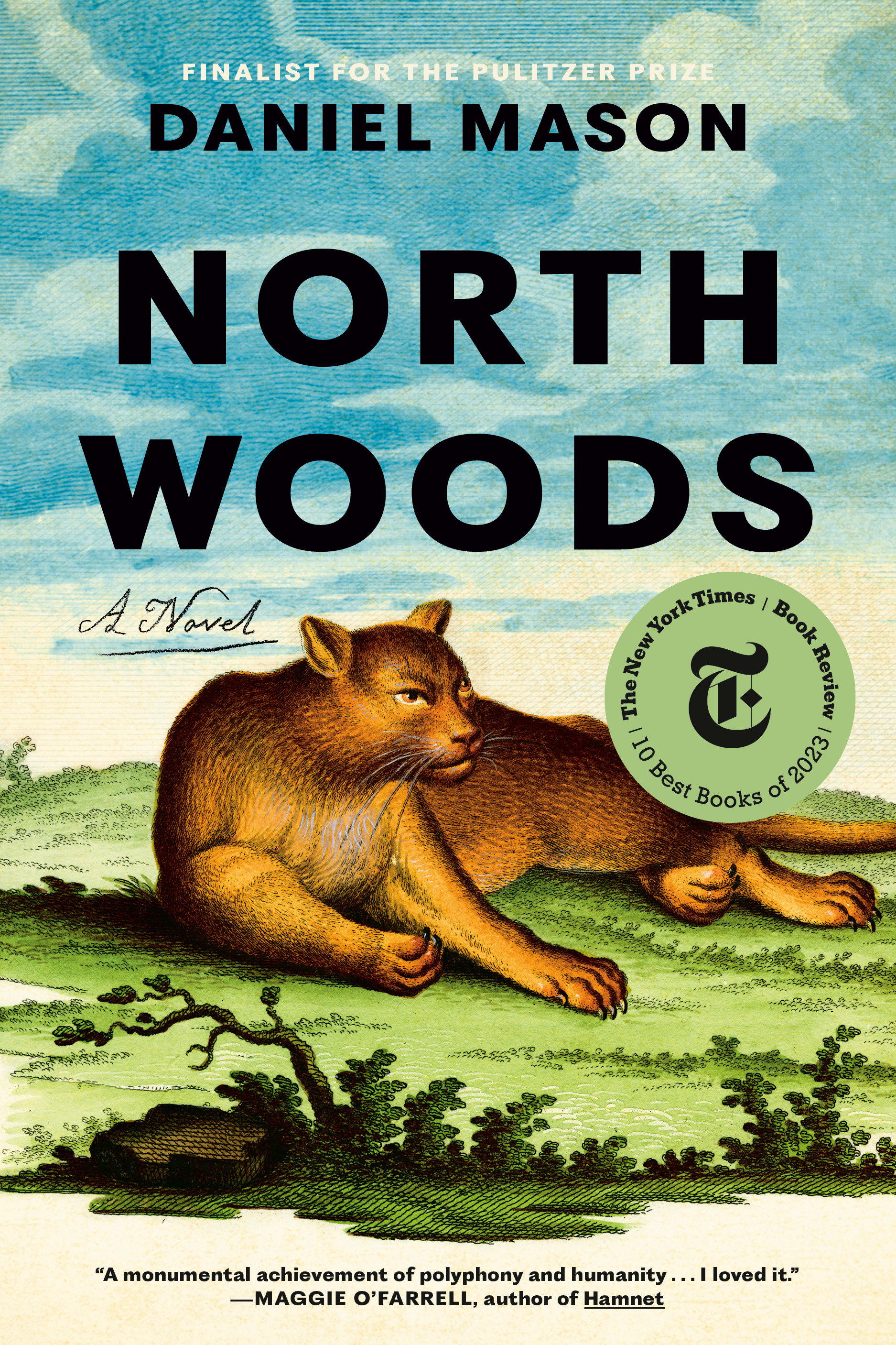 North Woods (Hardcover Book)