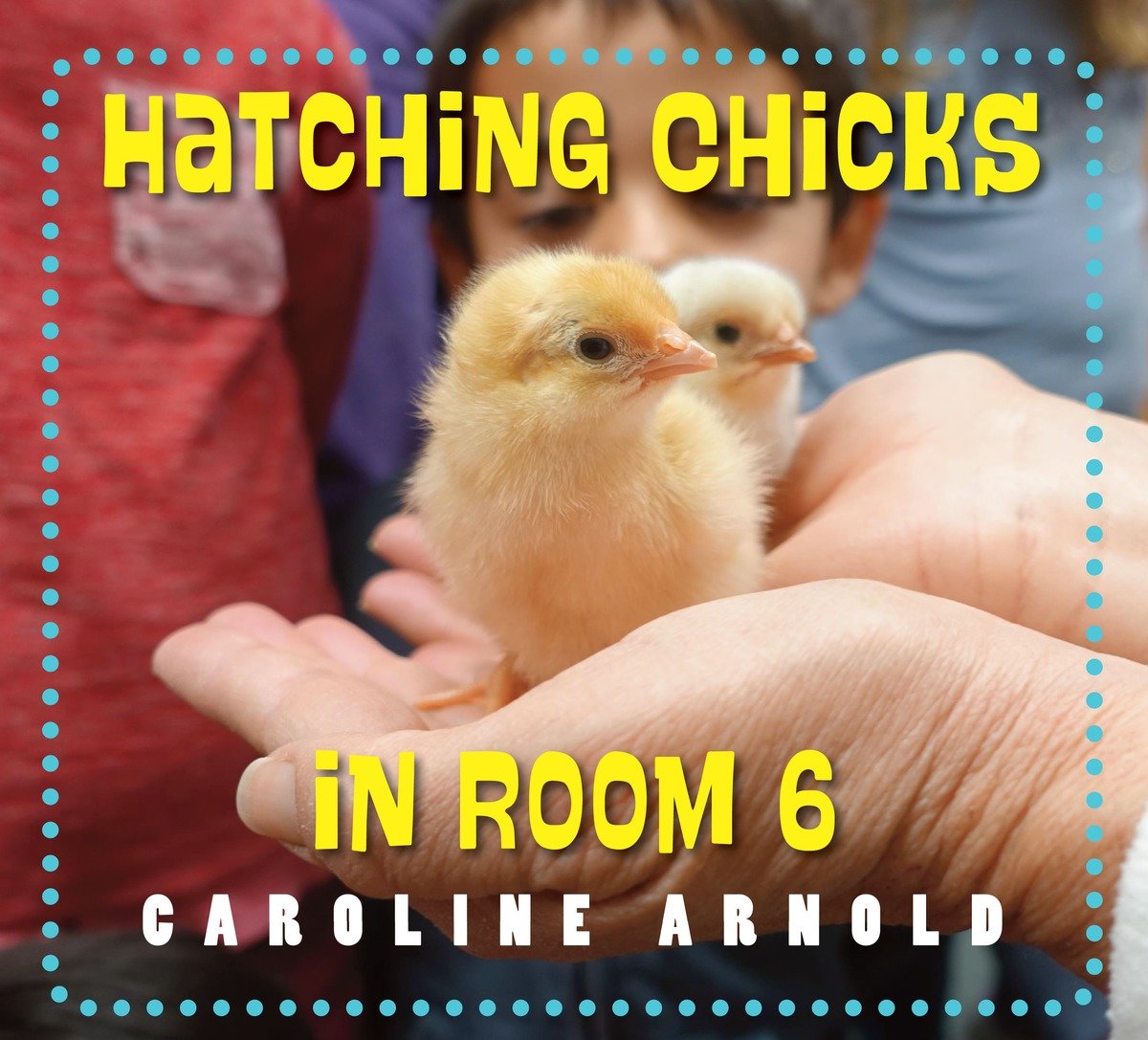 Hatching Chicks In Room 6 (Hardcover Book)