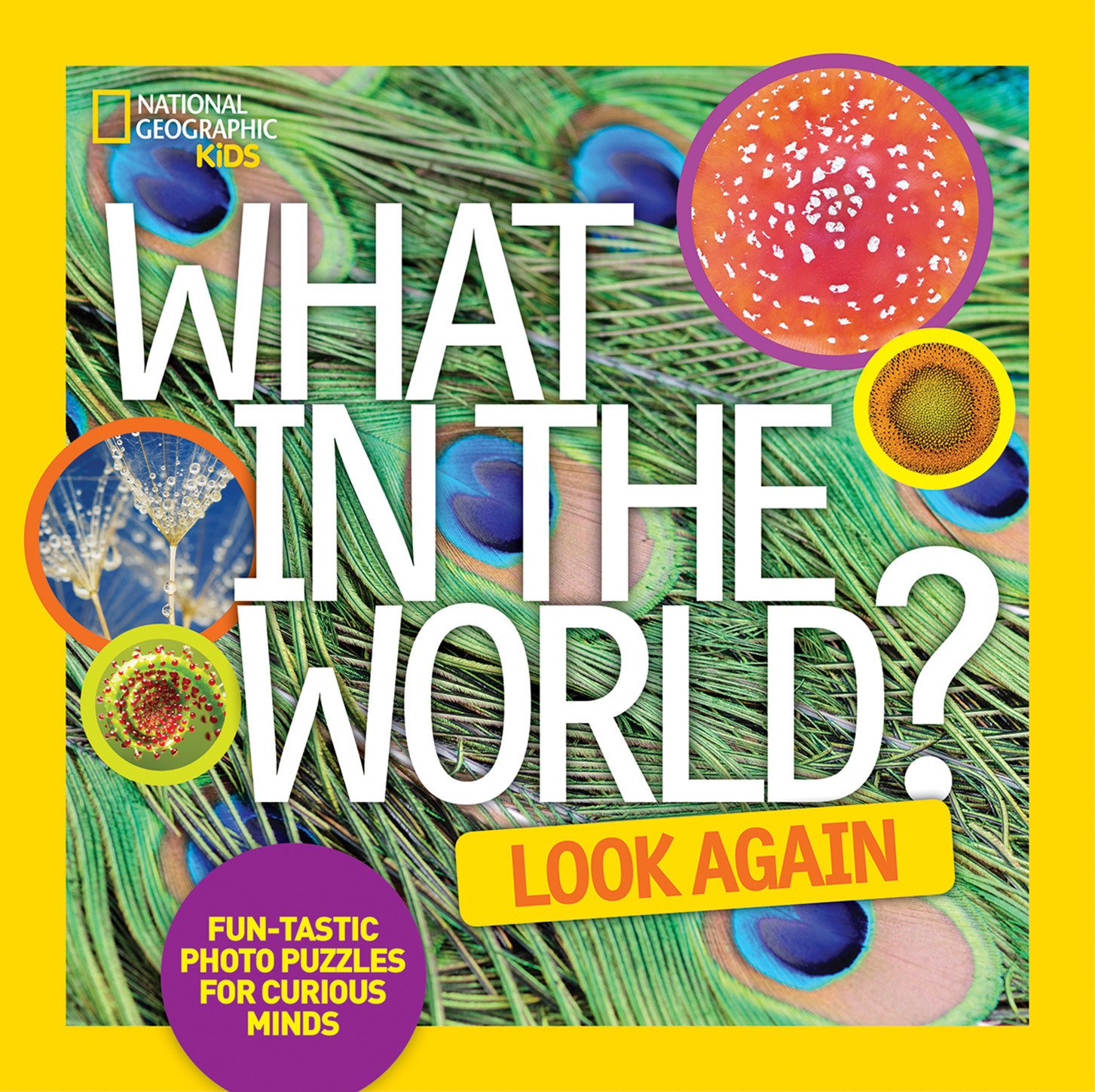 What In The World: Look Again (Hardcover Book)