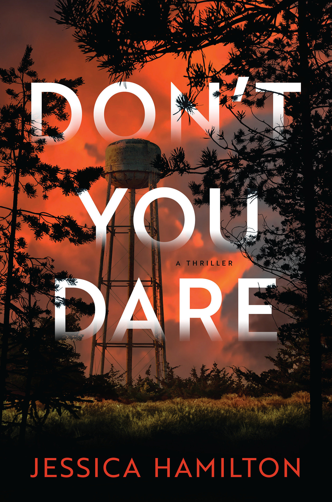 Don'T You Dare (Hardcover Book)