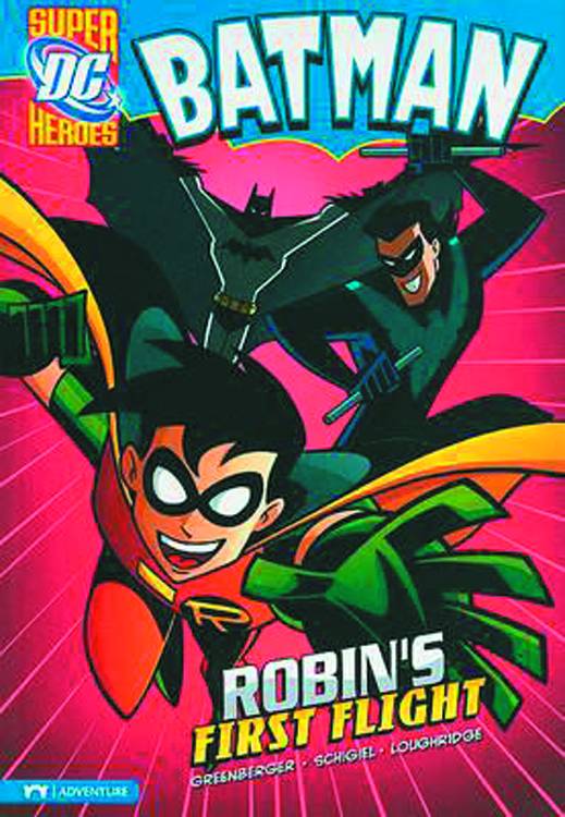 DC Super Heroes Batman Young Reader Graphic Novel #9 Robins First Flight
