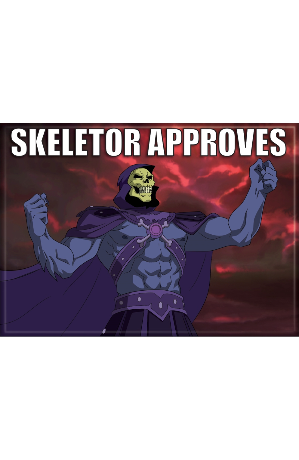 Masters of The Universe Skeletor Approves