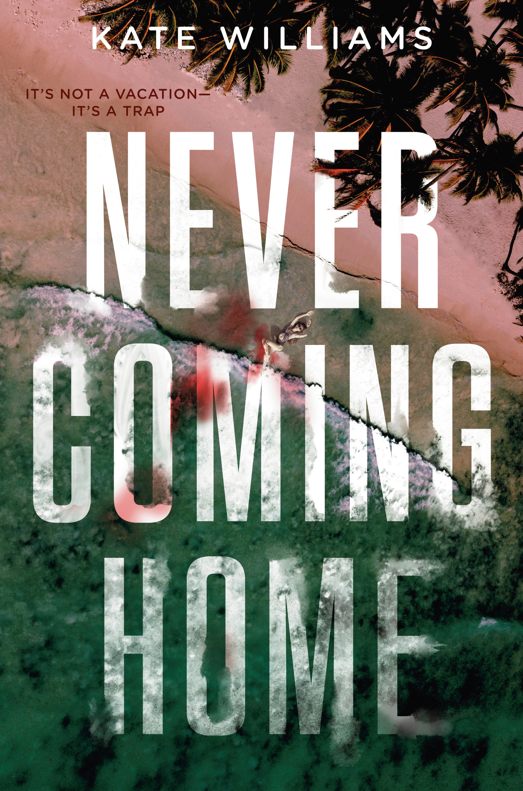 Never Coming Home (Hardcover Book)