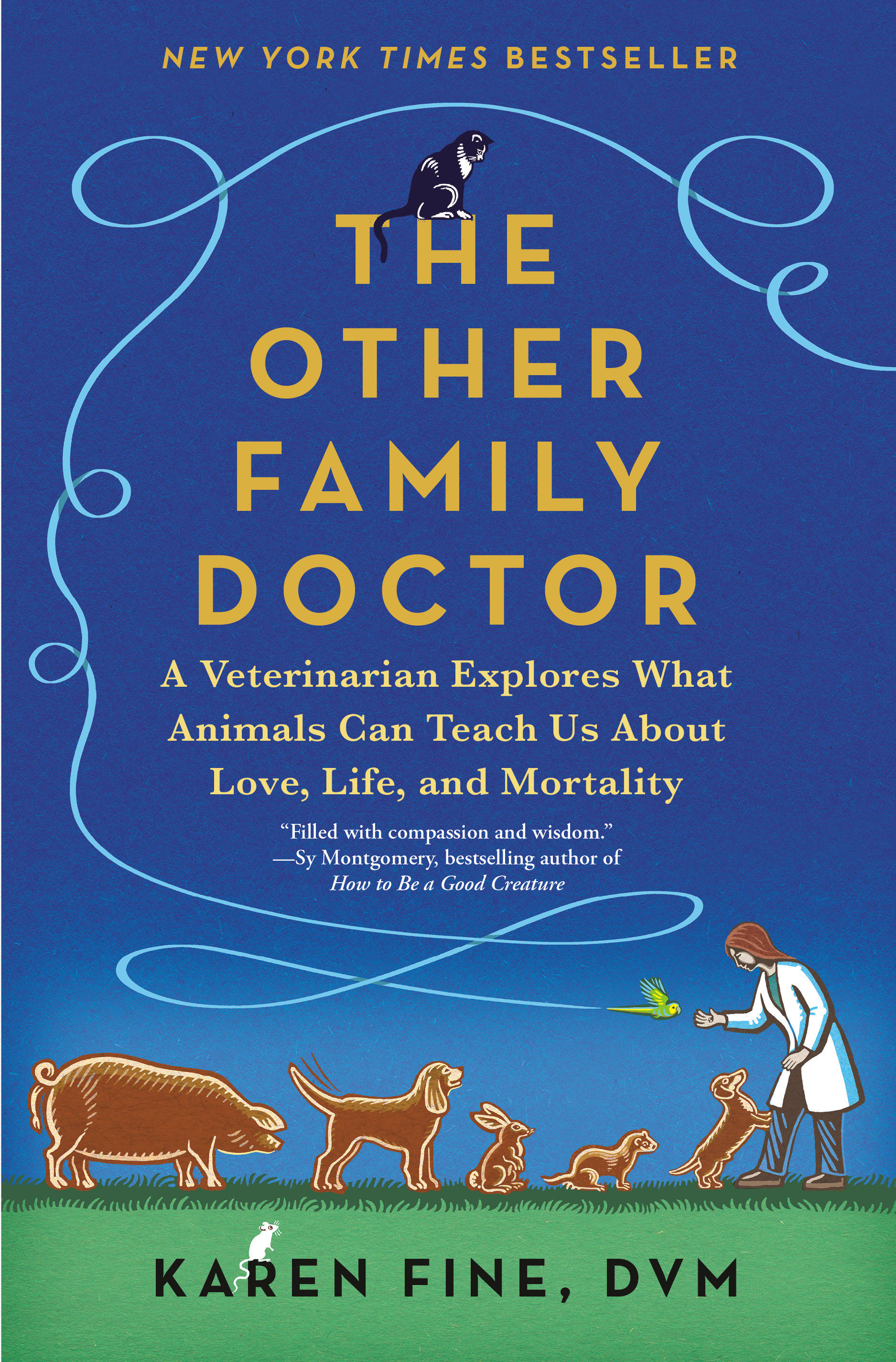 The Other Family Doctor (Hardcover Book)