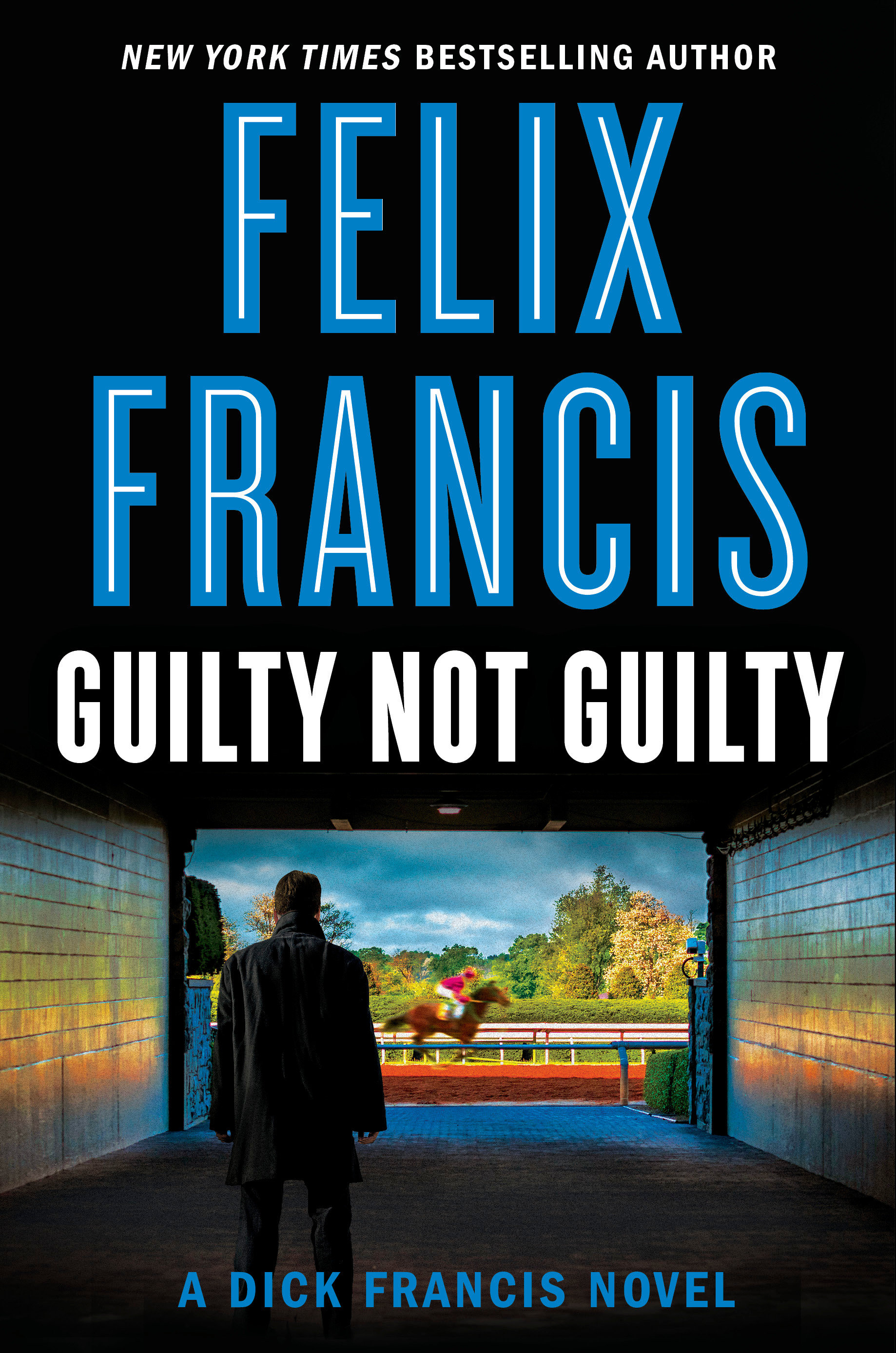 Guilty Not Guilty (Hardcover Book)