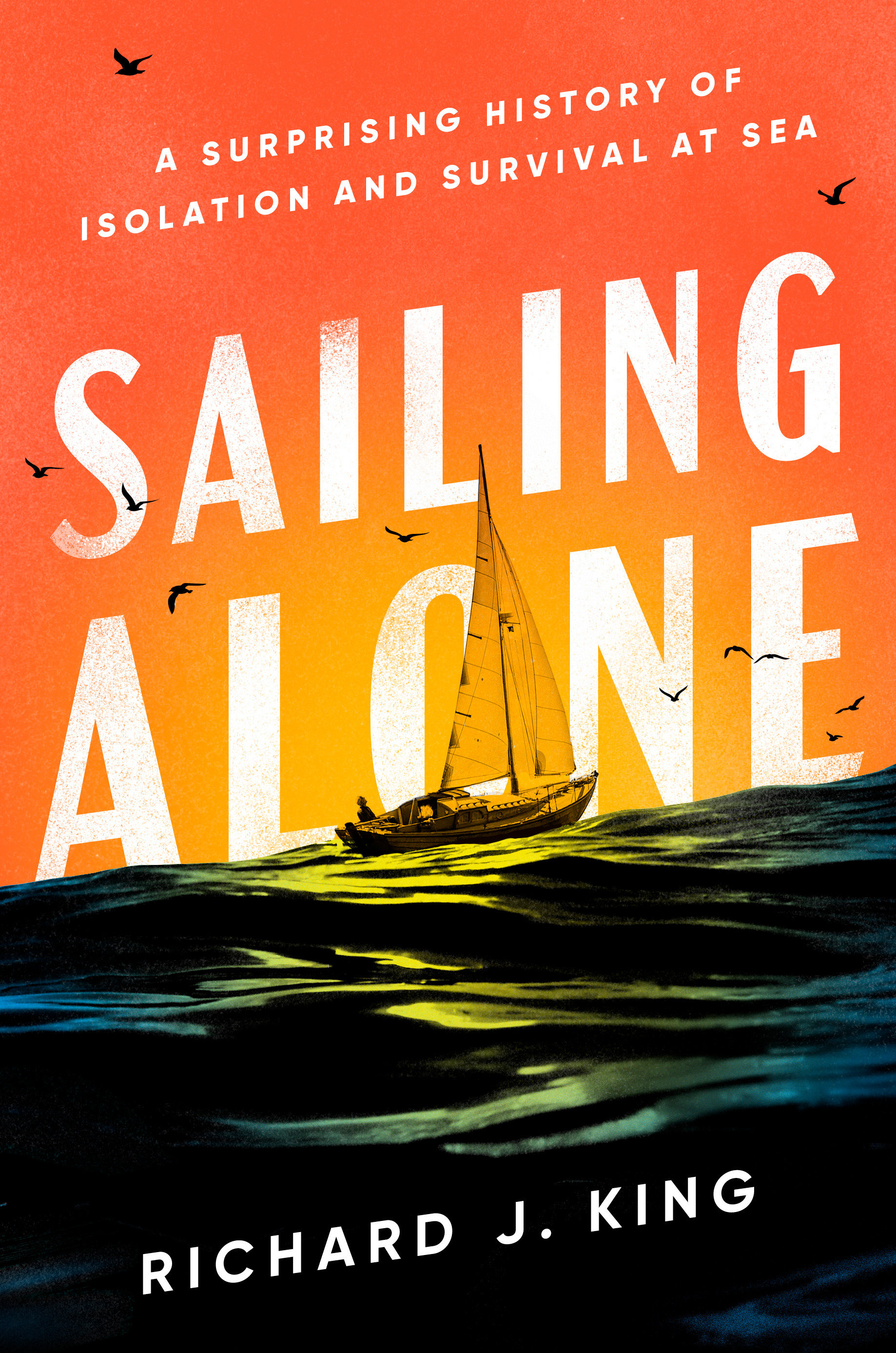 Sailing Alone (Hardcover Book)