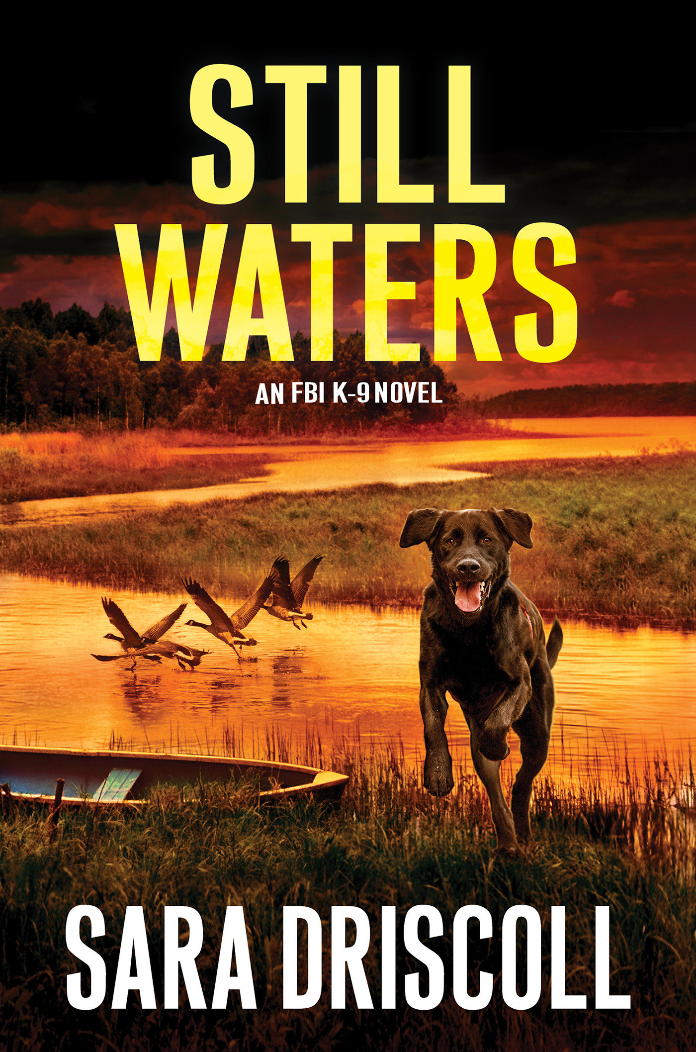 Still Waters (Hardcover Book)