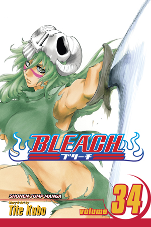 Bleach Manga Volume 34