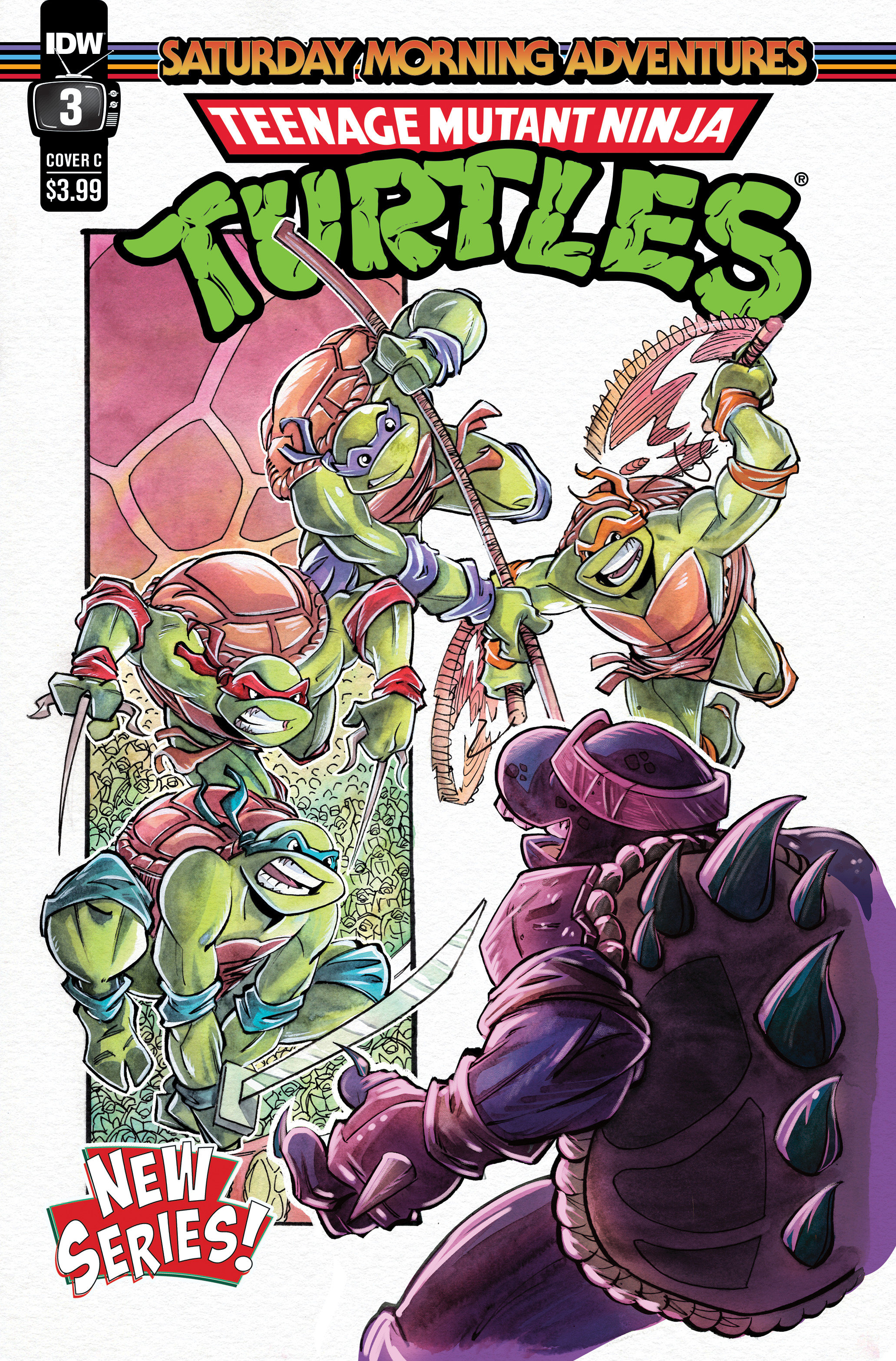 Teenage Mutant Ninja Turtles Saturday Morning Adventures Continued! #3 Cover C Daley
