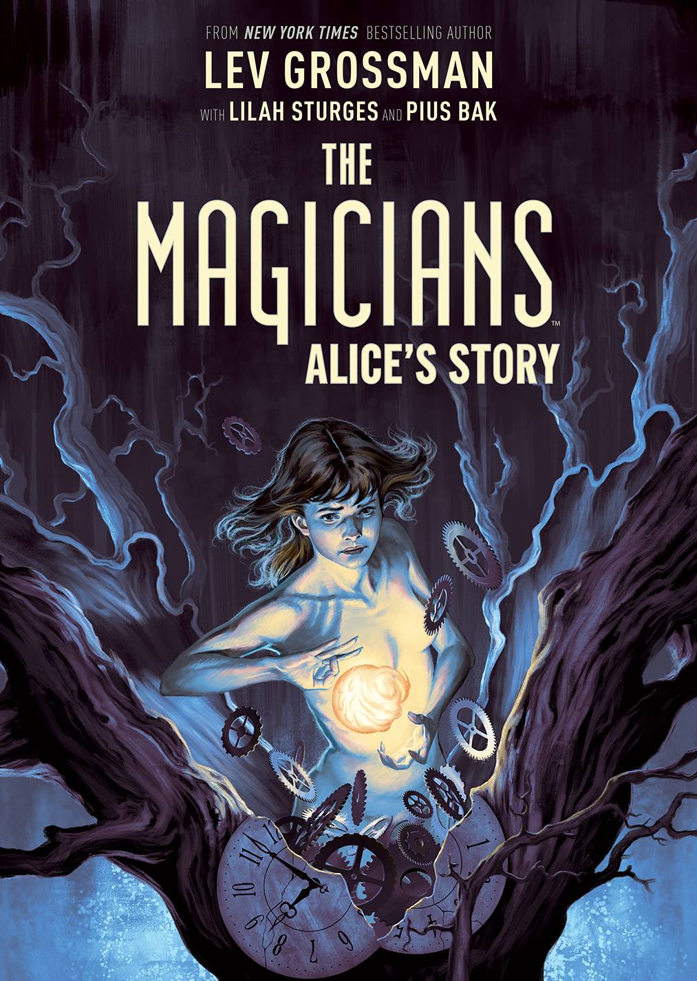 Magicians Alice Story Original Graphic Novel Hardcover