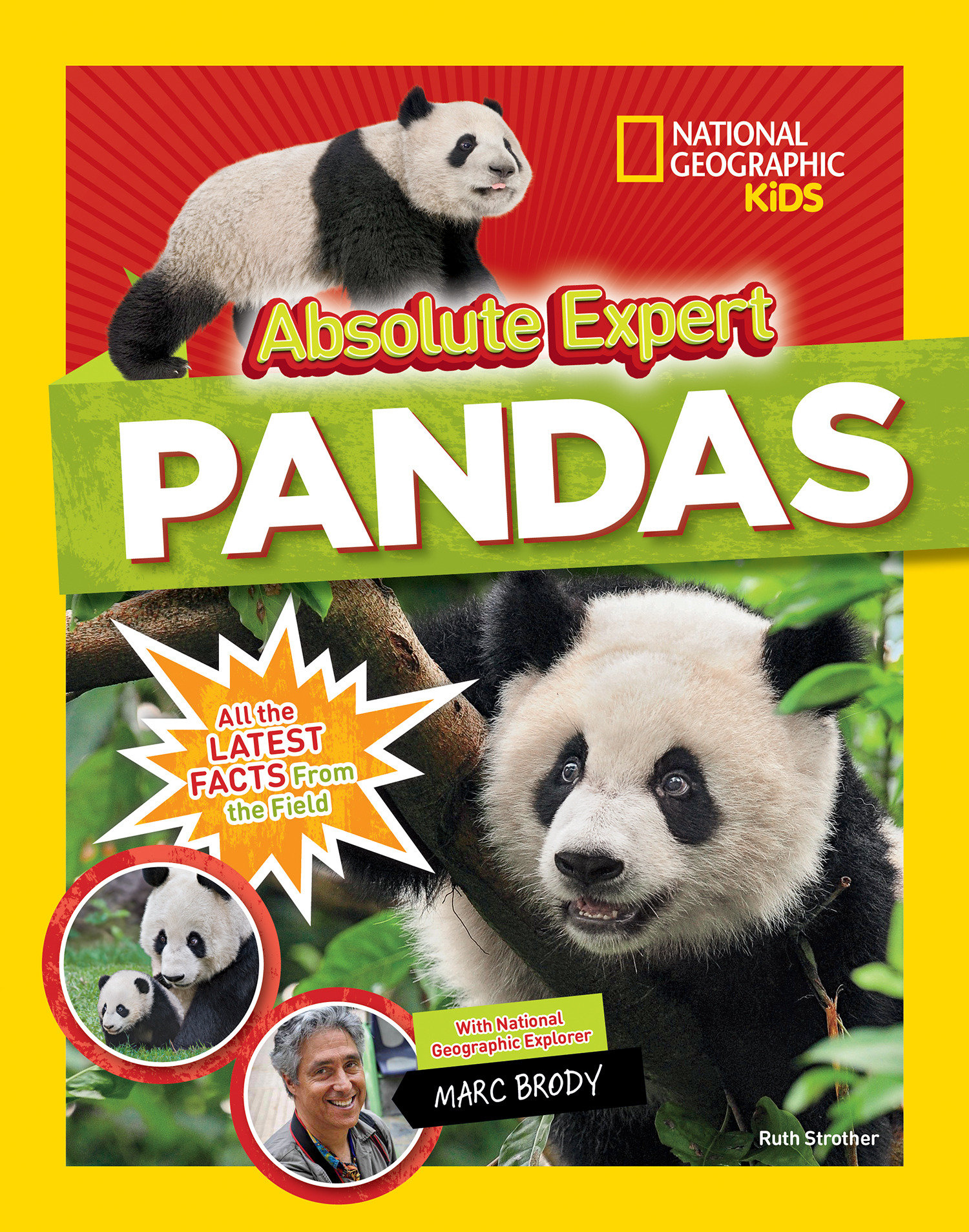 Absolute Expert: Pandas (Hardcover Book)