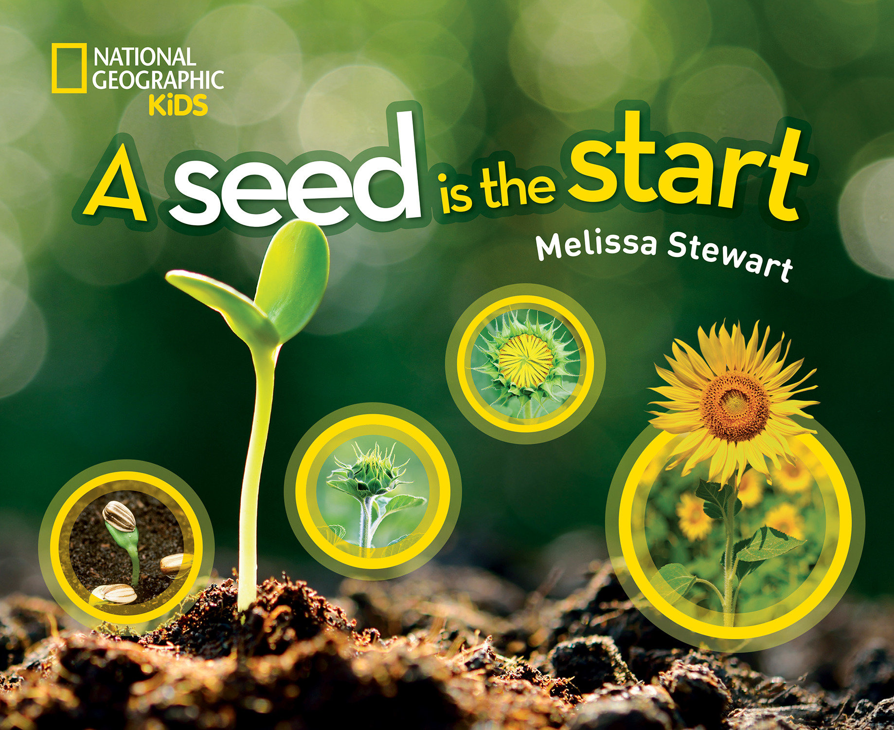 A Seed Is The Start (Hardcover Book)