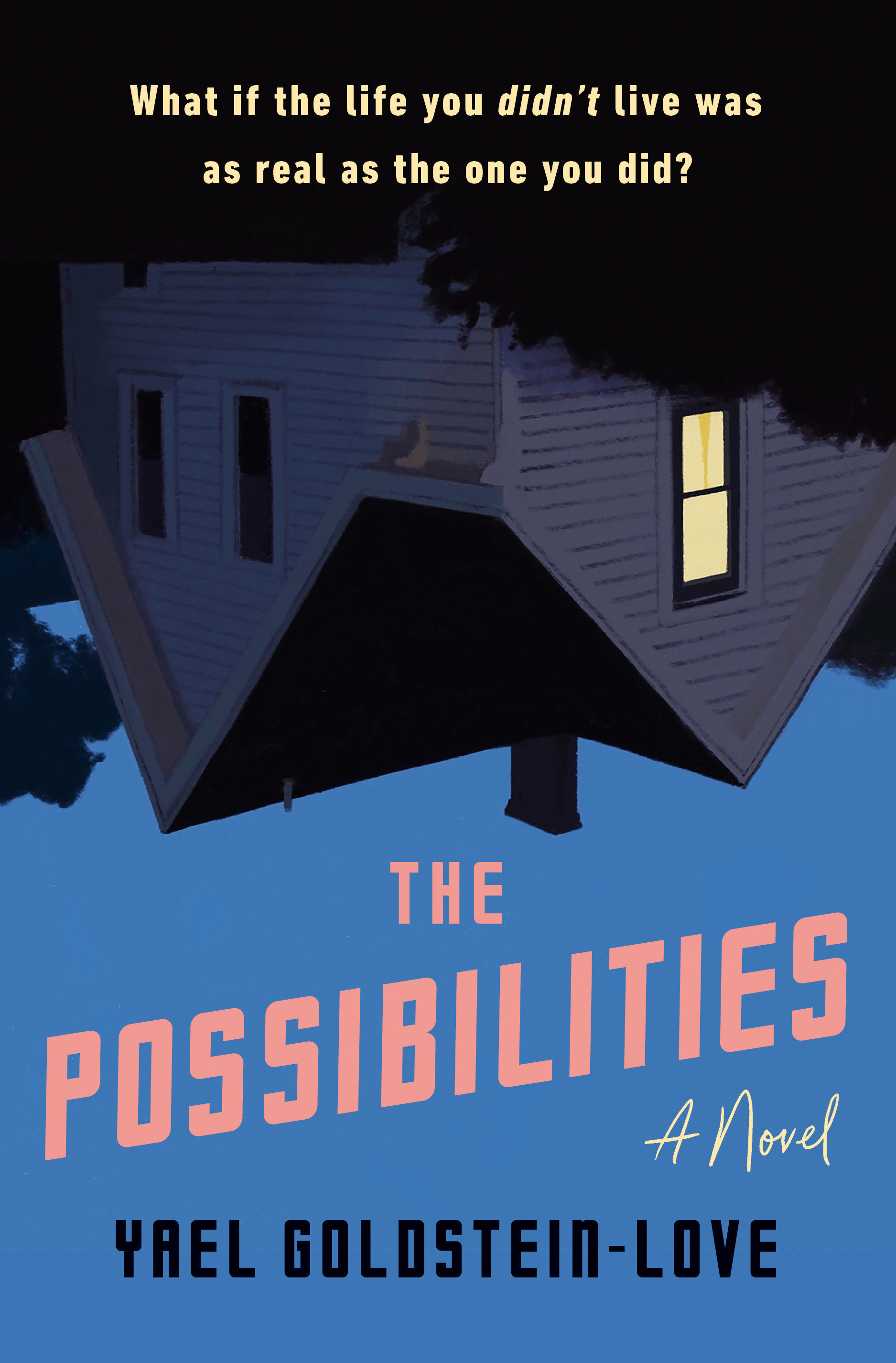 The Possibilities (Hardcover Book)