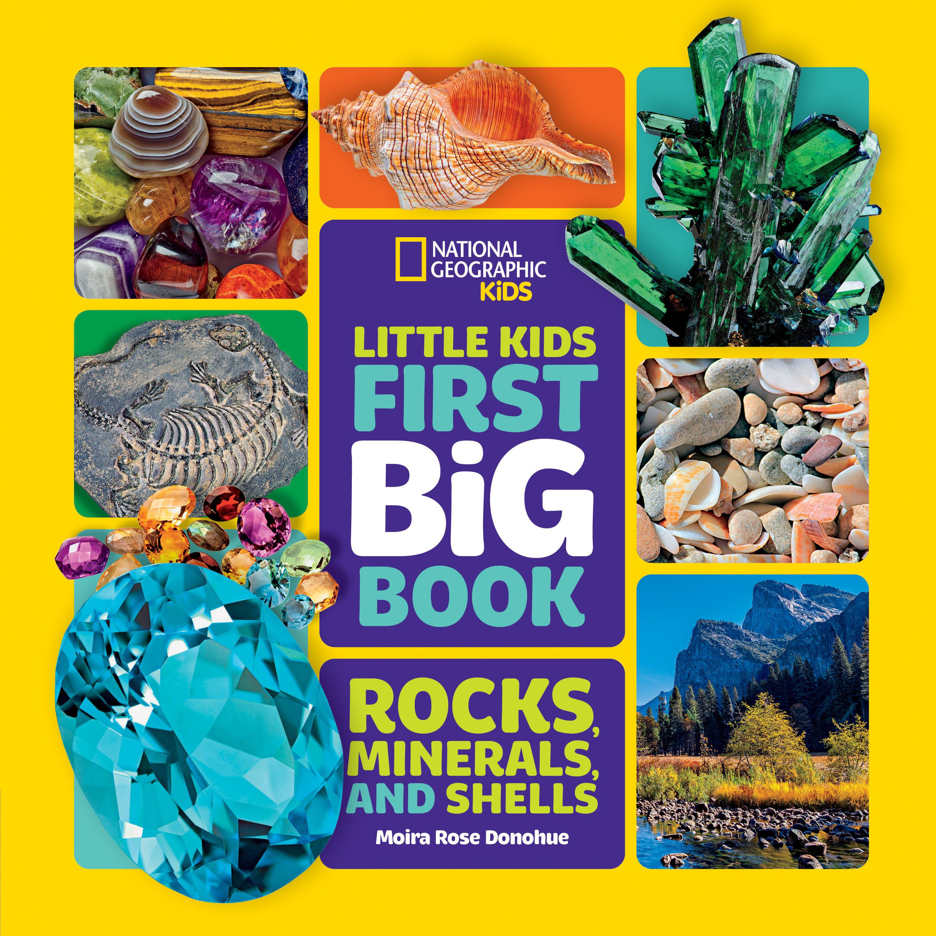 Little Kids First Big Book Of Rocks, Minerals & Shells (Hardcover Book)