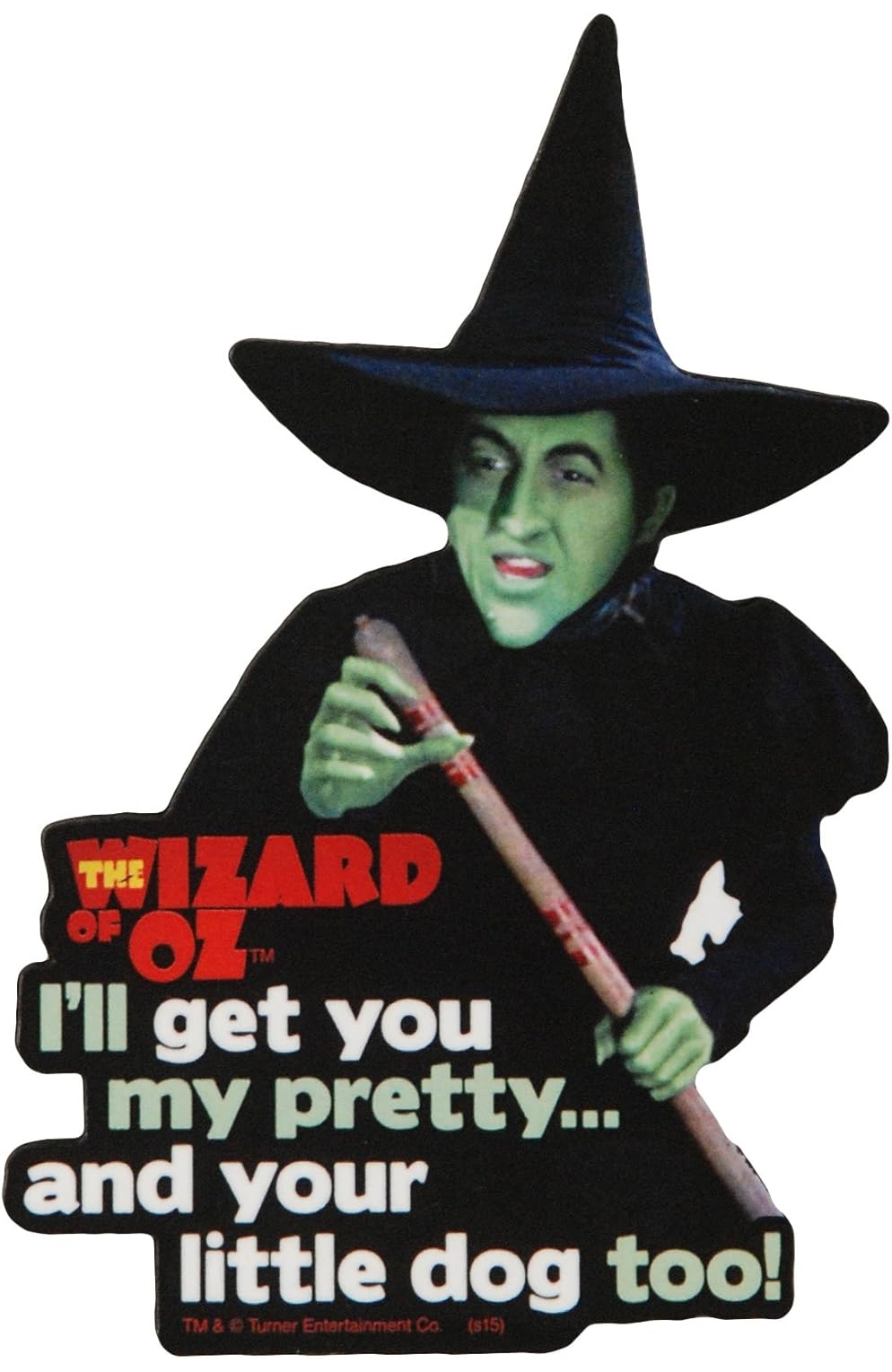 The Wizard of Oz Wicked Witch of The West Funky Chunky Magnet