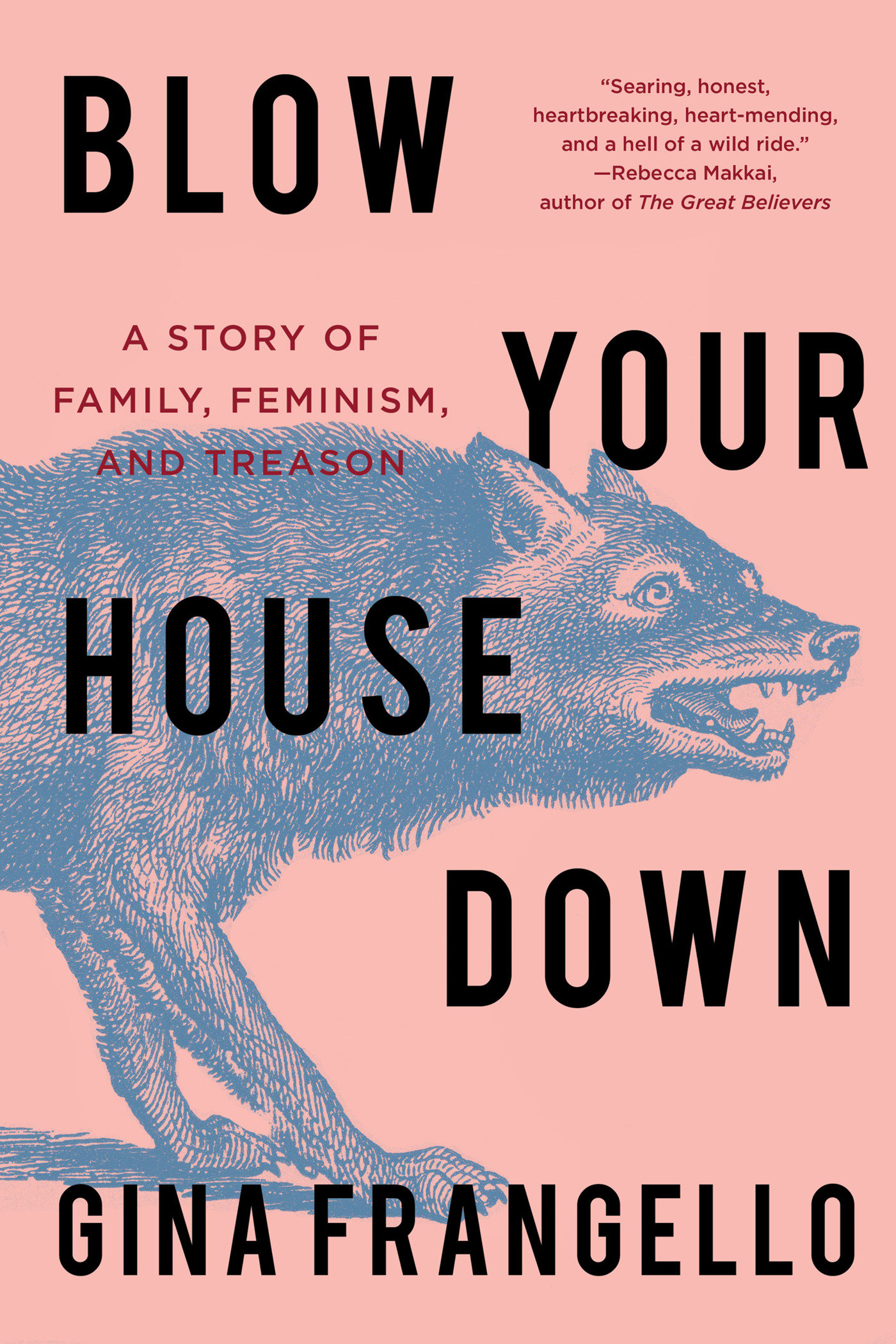 Blow Your House Down (Hardcover Book)