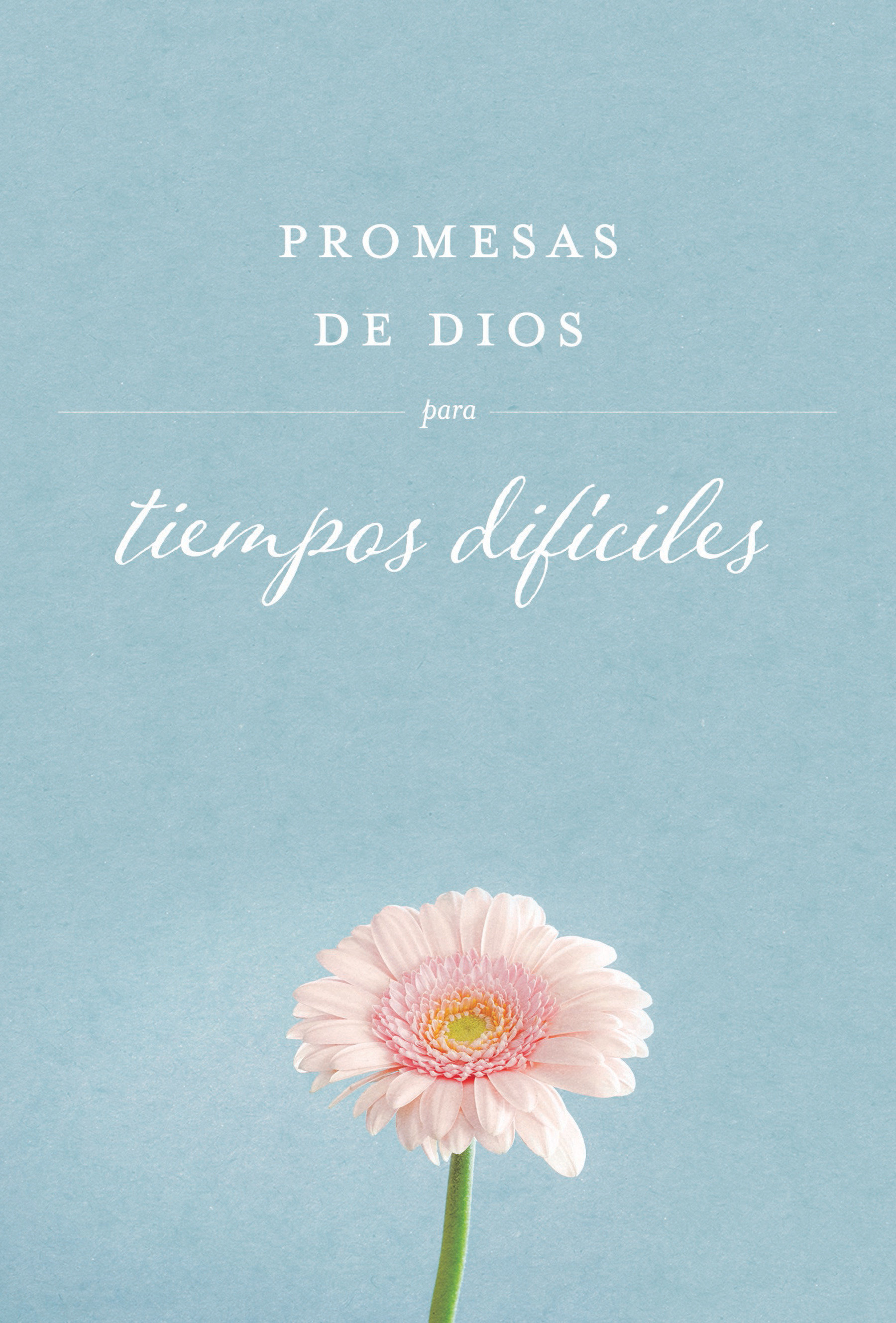 Promesas De Dios Para Tiempos Difíciles / God'S Promises When You Are Hurting (Hardcover Book)